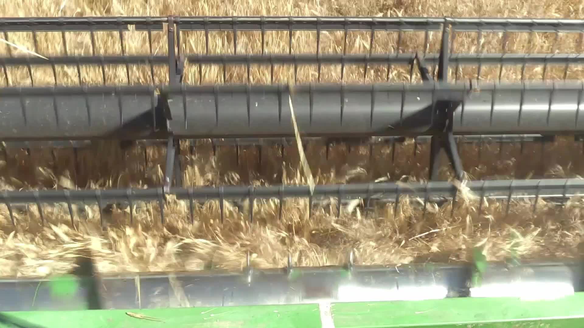 Barley harvesting in Odesa region, amid Russia's invasion of Ukraine