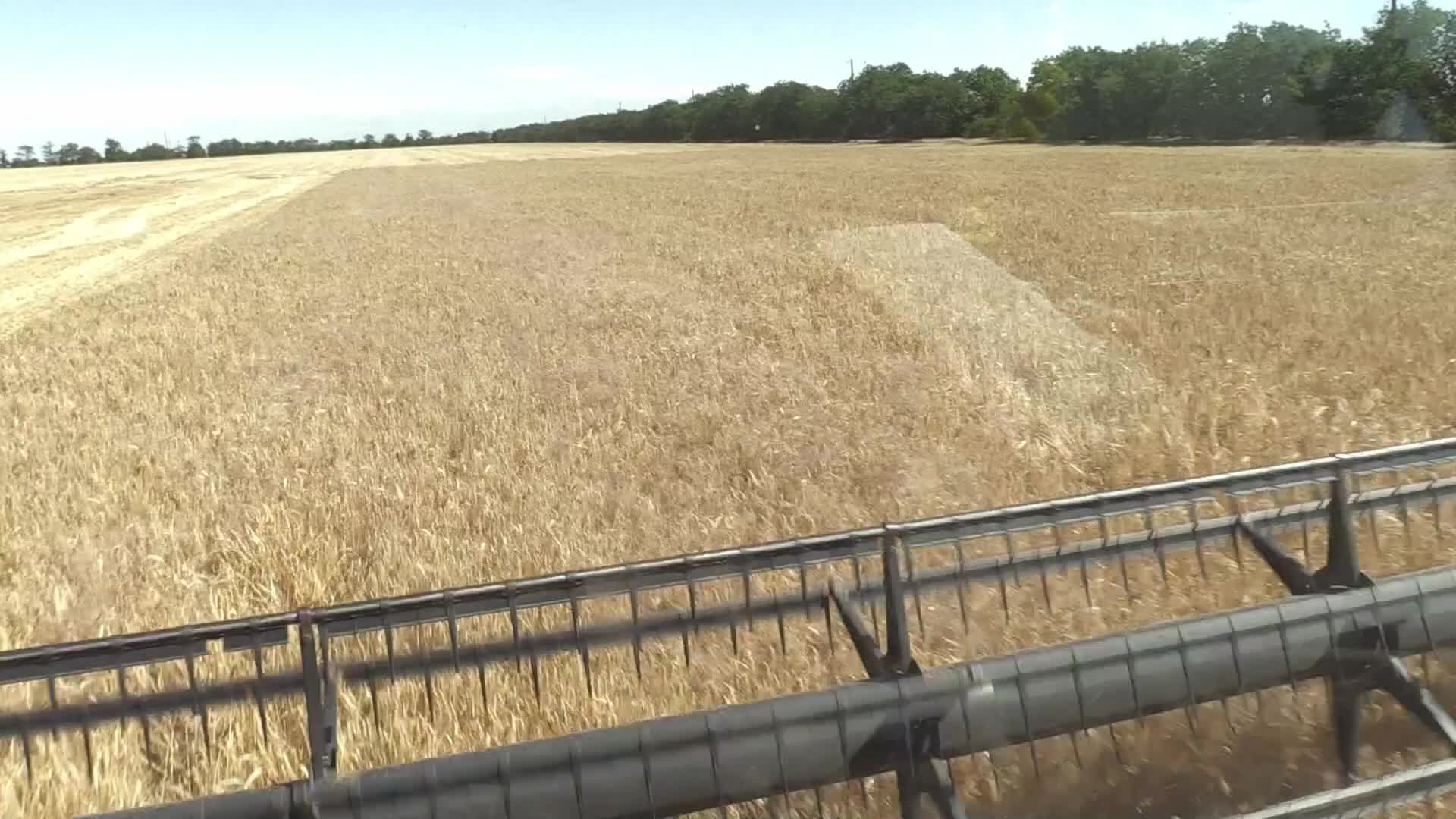 Barley harvesting in Odesa region, amid Russia's invasion of Ukraine
