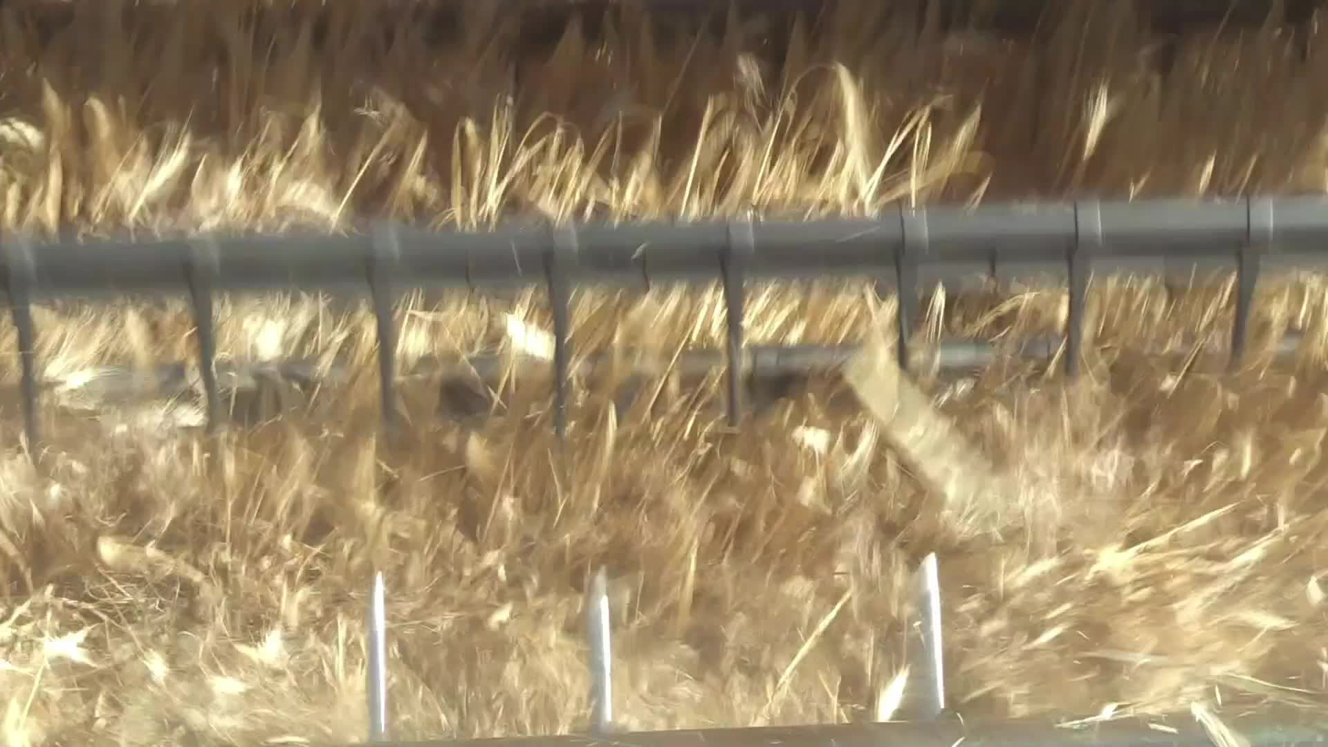 Barley harvesting in Odesa region, amid Russia's invasion of Ukraine