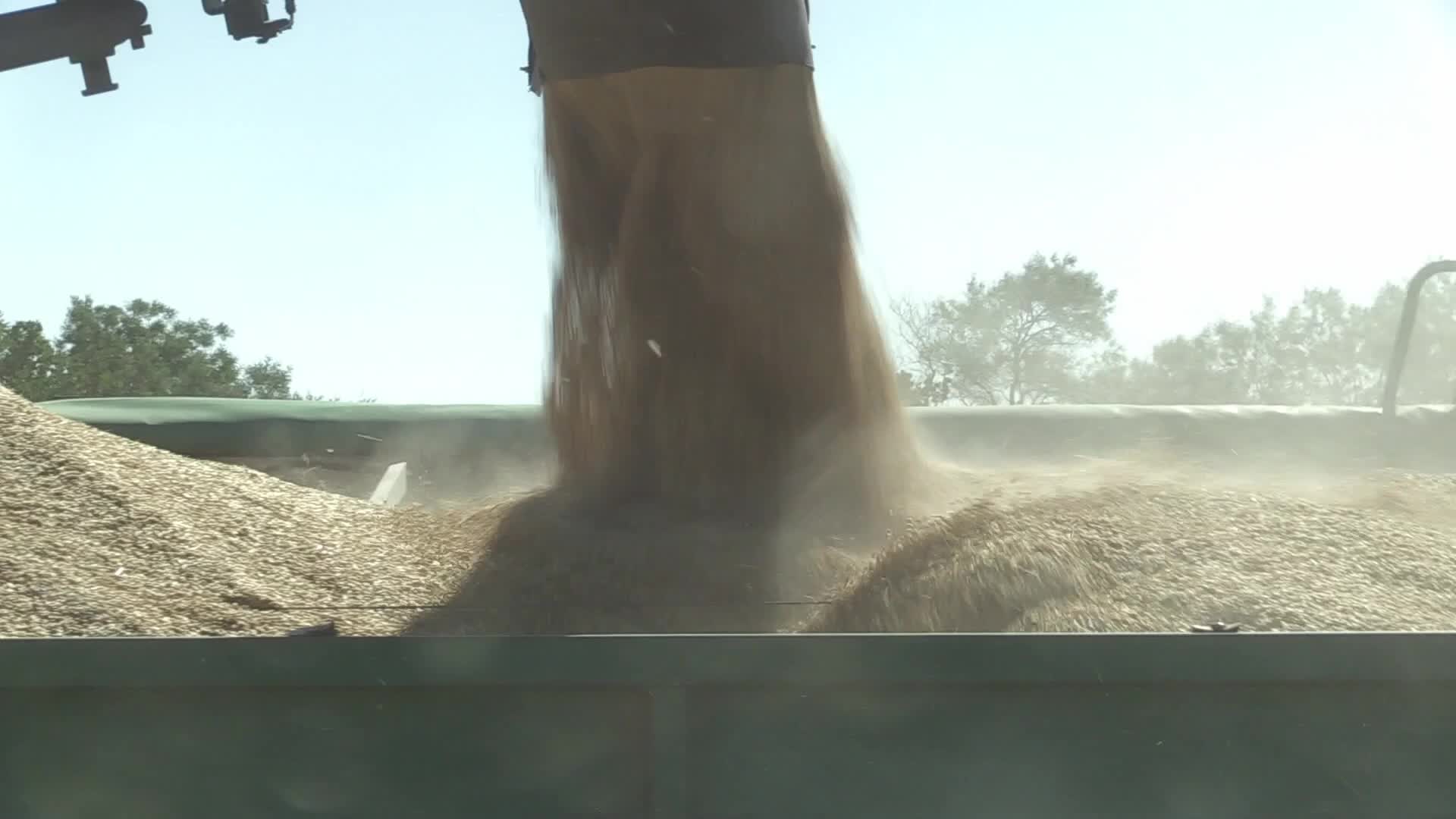 Barley harvesting in Odesa region, amid Russia's invasion of Ukraine