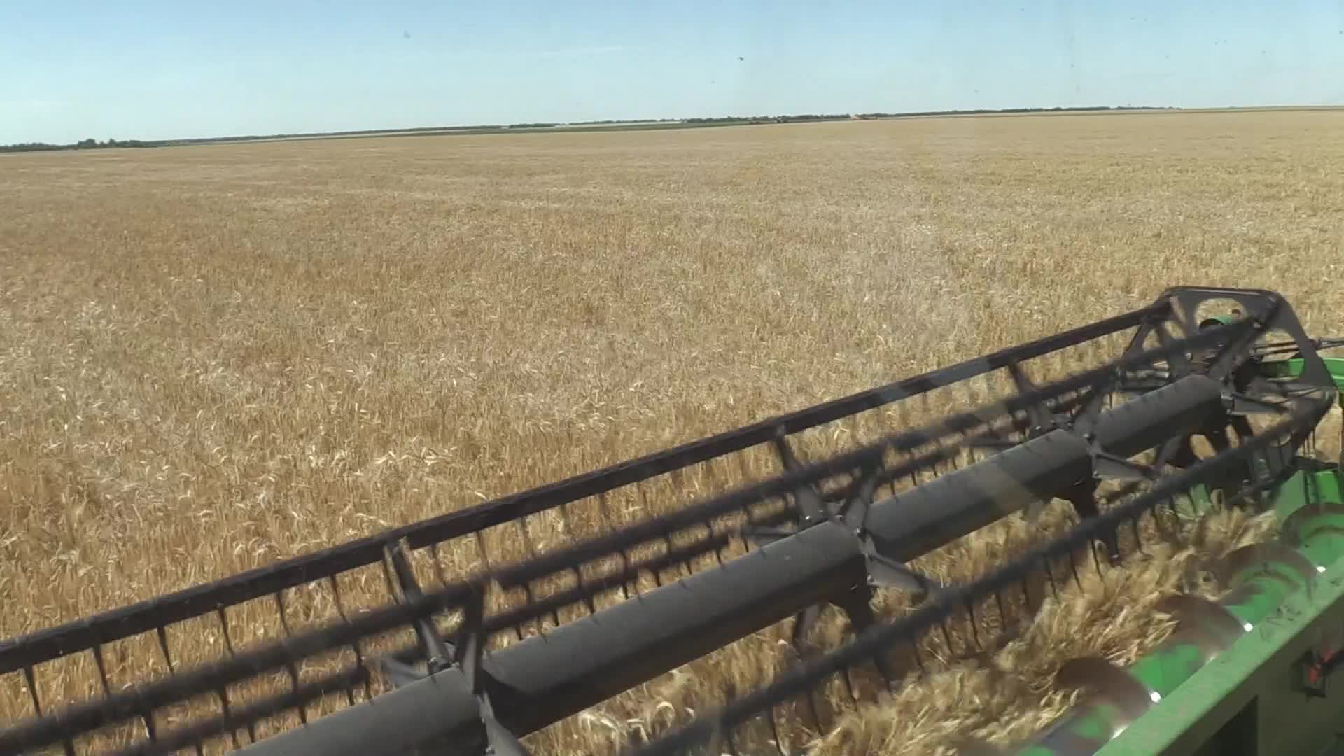 Barley harvesting in Odesa region, amid Russia's invasion of Ukraine