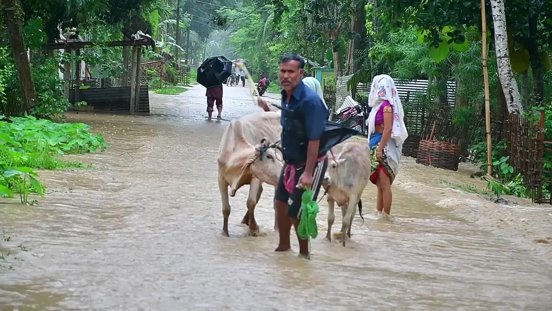 Flood situation turns critical in Northeast India