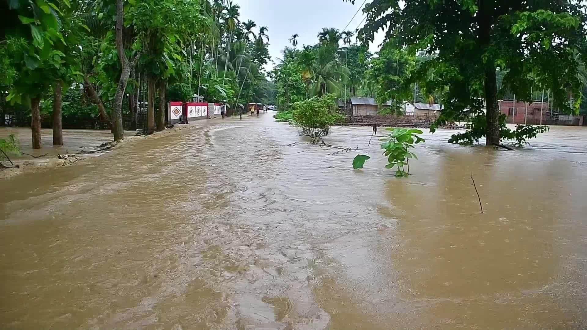 Flood situation turns critical in Northeast India