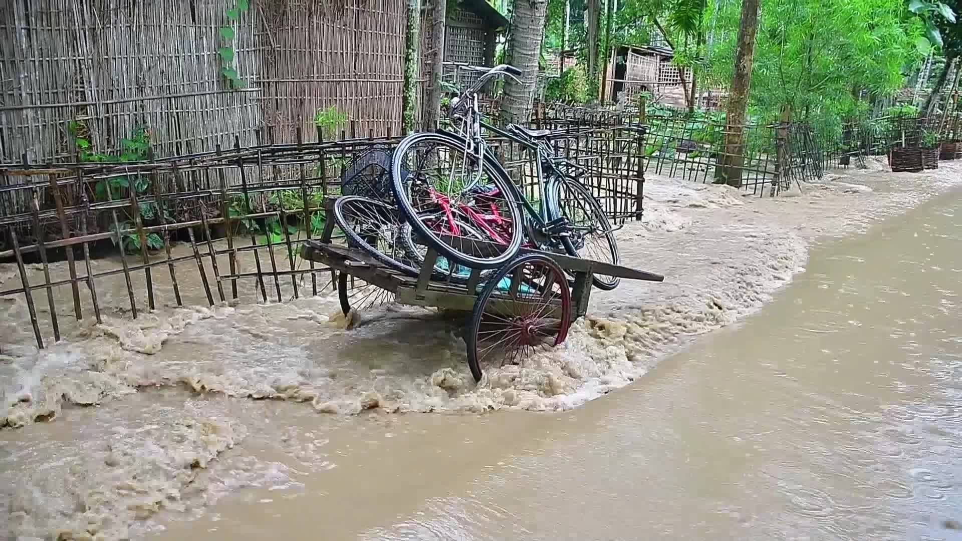 Flood situation turns critical in Northeast India