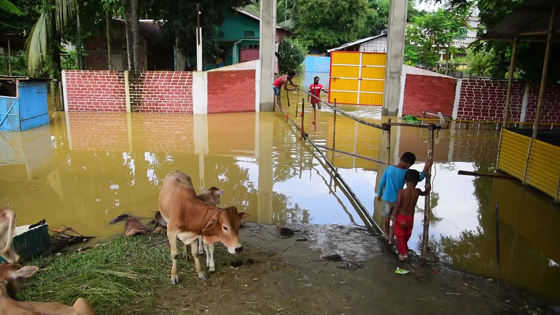 47 lakh hit by flood in India's Assam