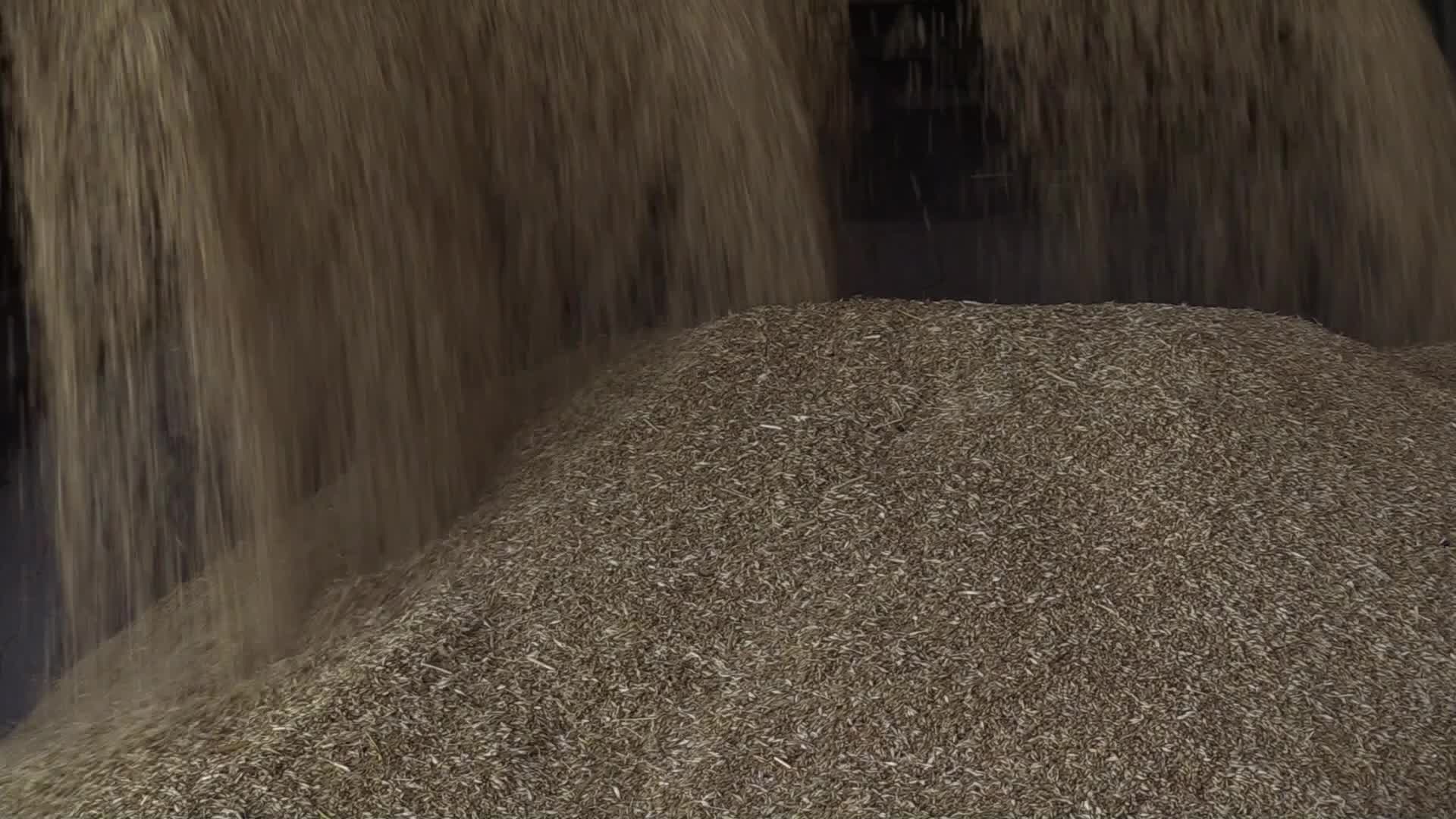 Grain storage after harvesting in Odesa region, amid Russia's invasion of Ukraine