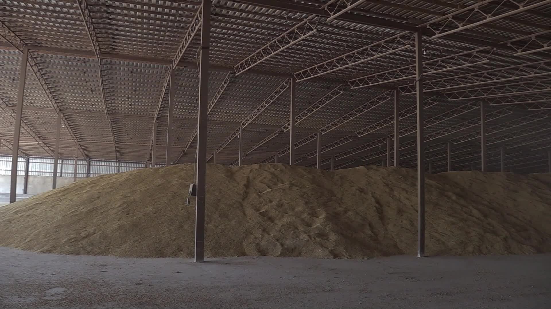Grain storage after harvesting in Odesa region, amid Russia's invasion of Ukraine