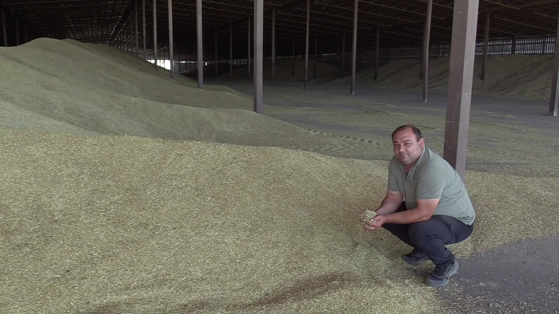 Grain storage after harvesting in Odesa region, amid Russia's invasion of Ukraine