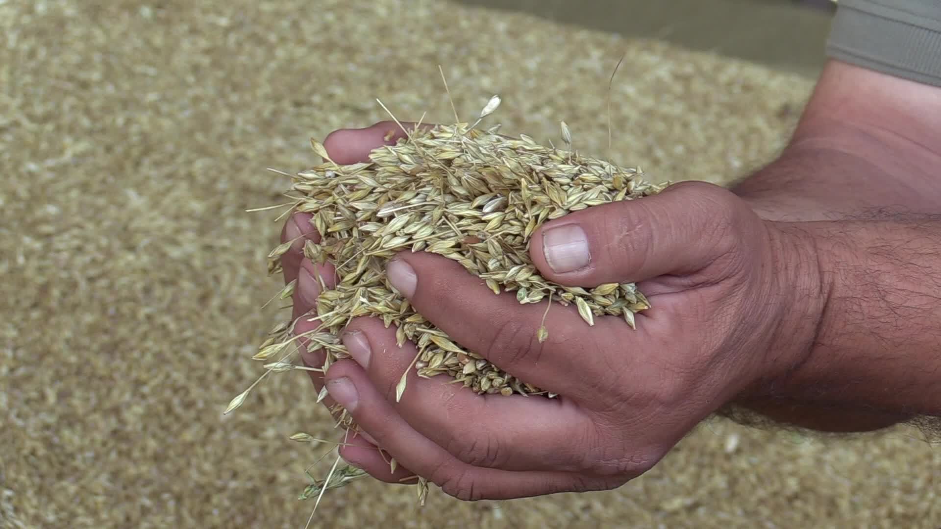 Grain storage after harvesting in Odesa region, amid Russia's invasion of Ukraine