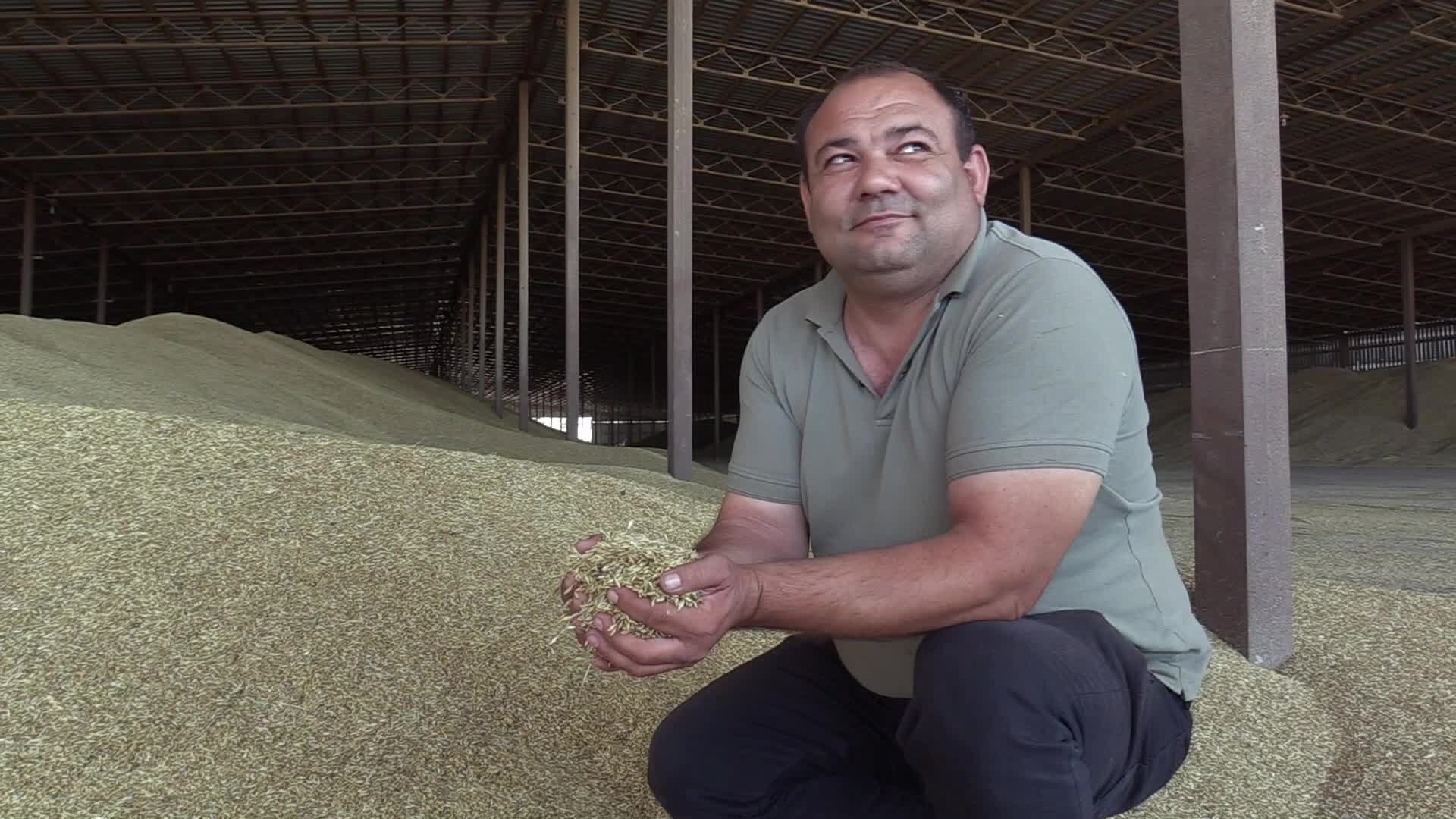 Grain storage after harvesting in Odesa region, amid Russia's invasion of Ukraine