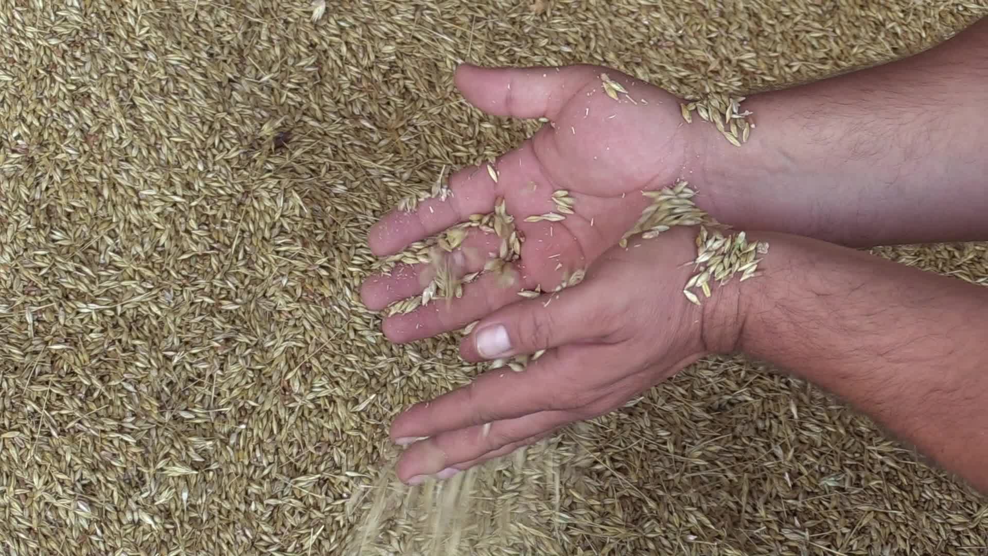 Grain storage after harvesting in Odesa region, amid Russia's invasion of Ukraine