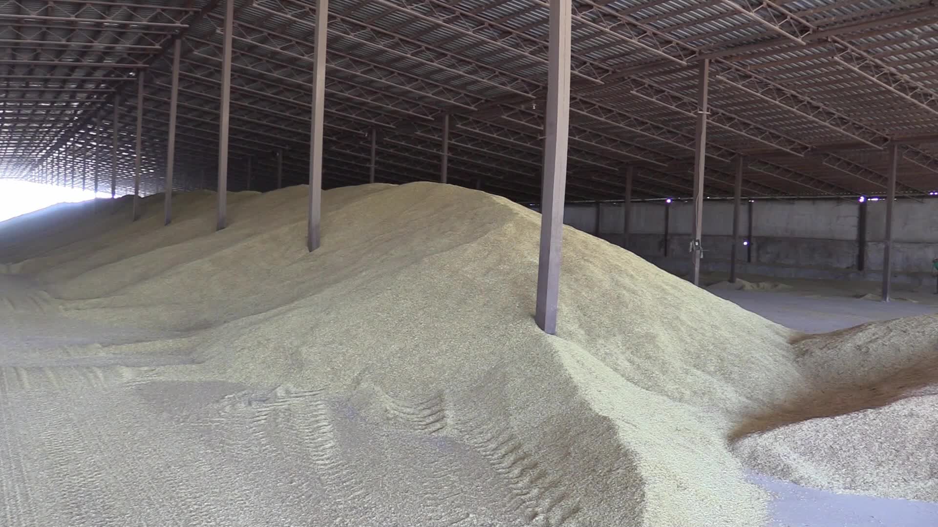Grain storage after harvesting in Odesa region, amid Russia's invasion of Ukraine