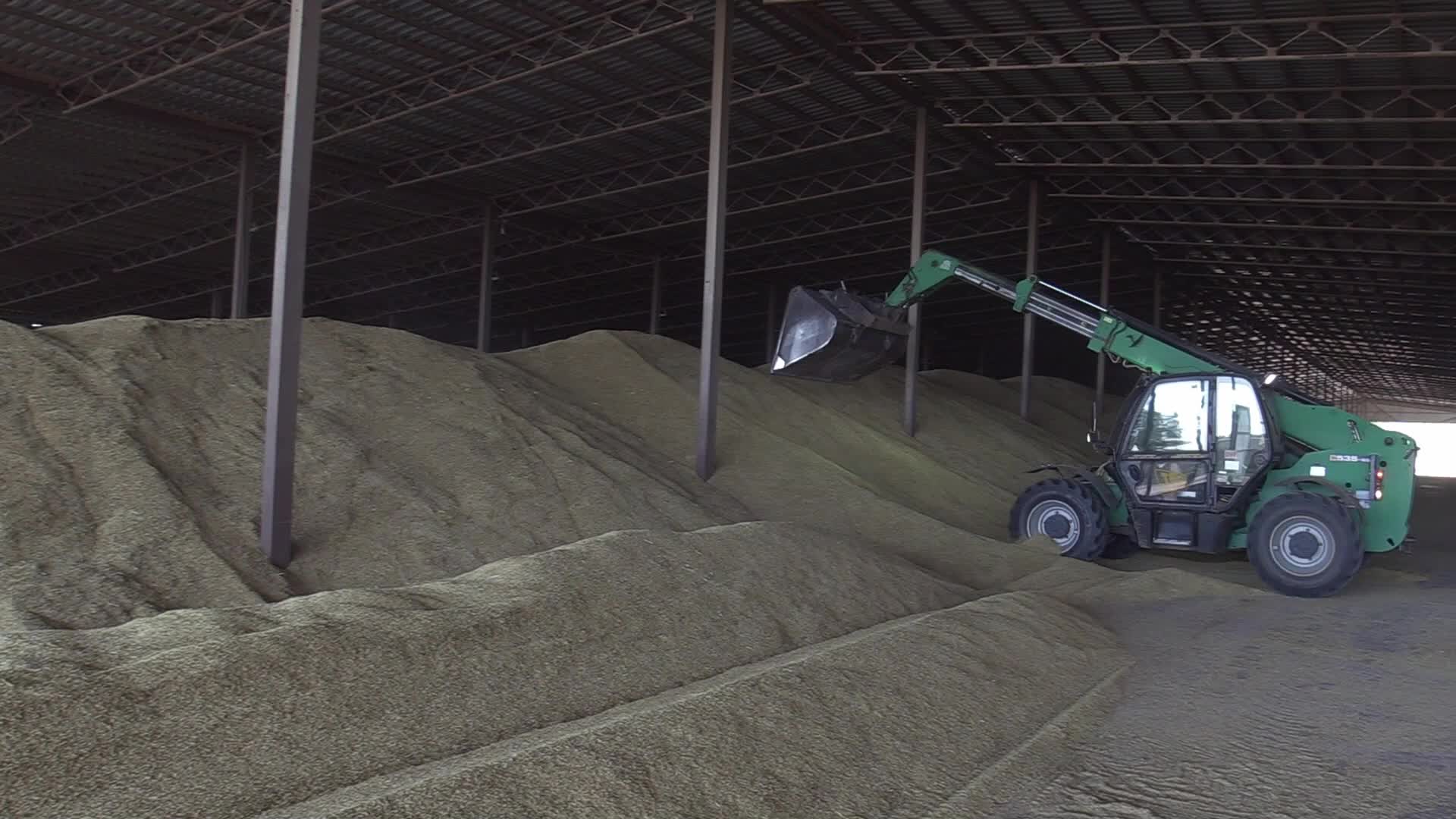 Grain storage after harvesting in Odesa region, amid Russia's invasion of Ukraine