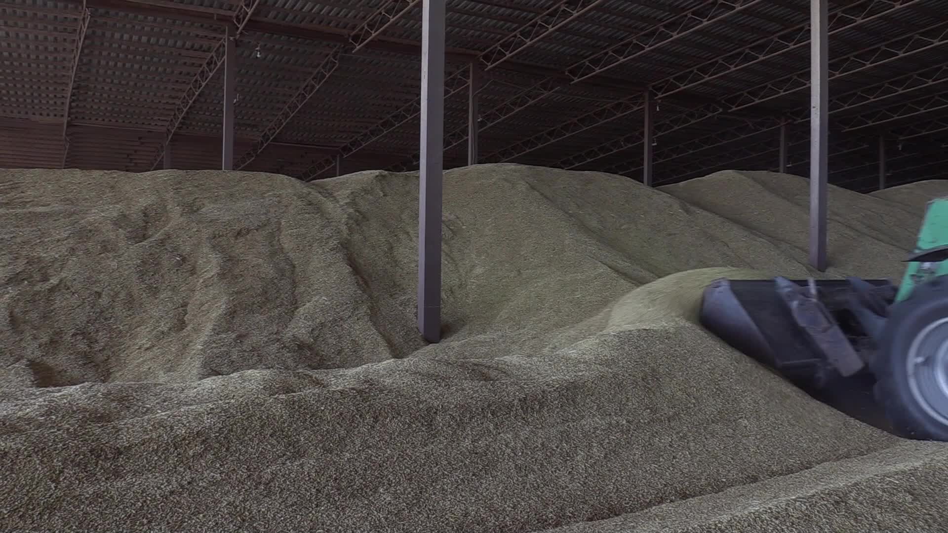 Grain storage after harvesting in Odesa region, amid Russia's invasion of Ukraine
