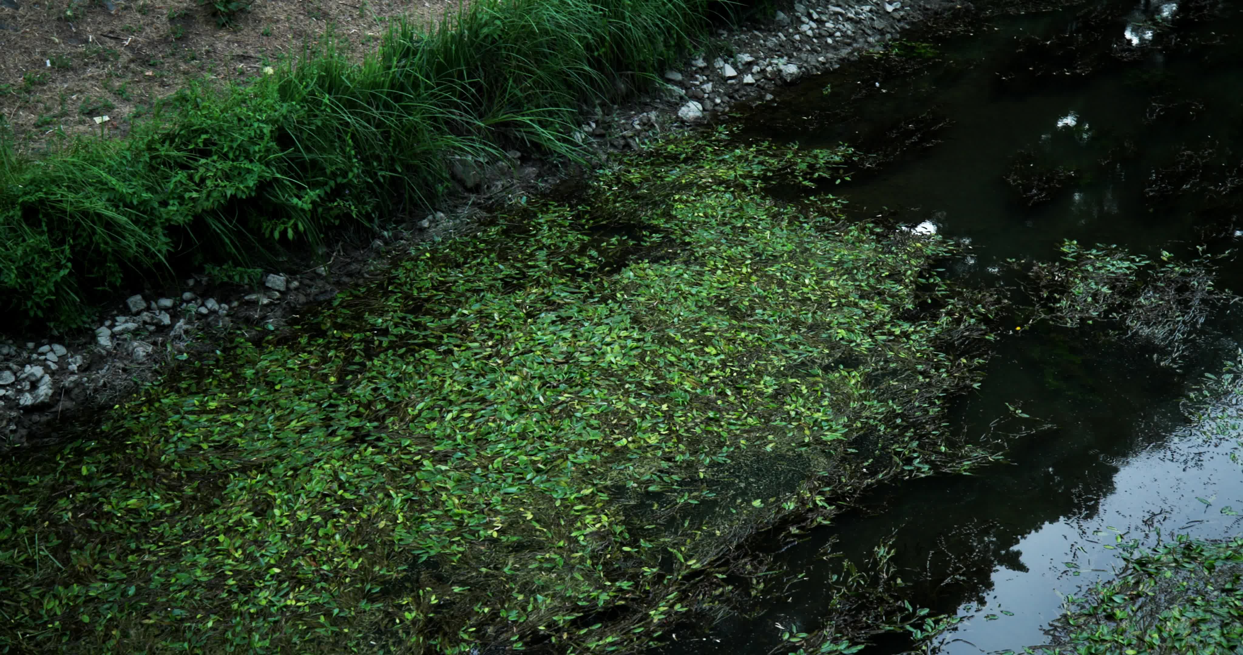 Drought emergency in Italy