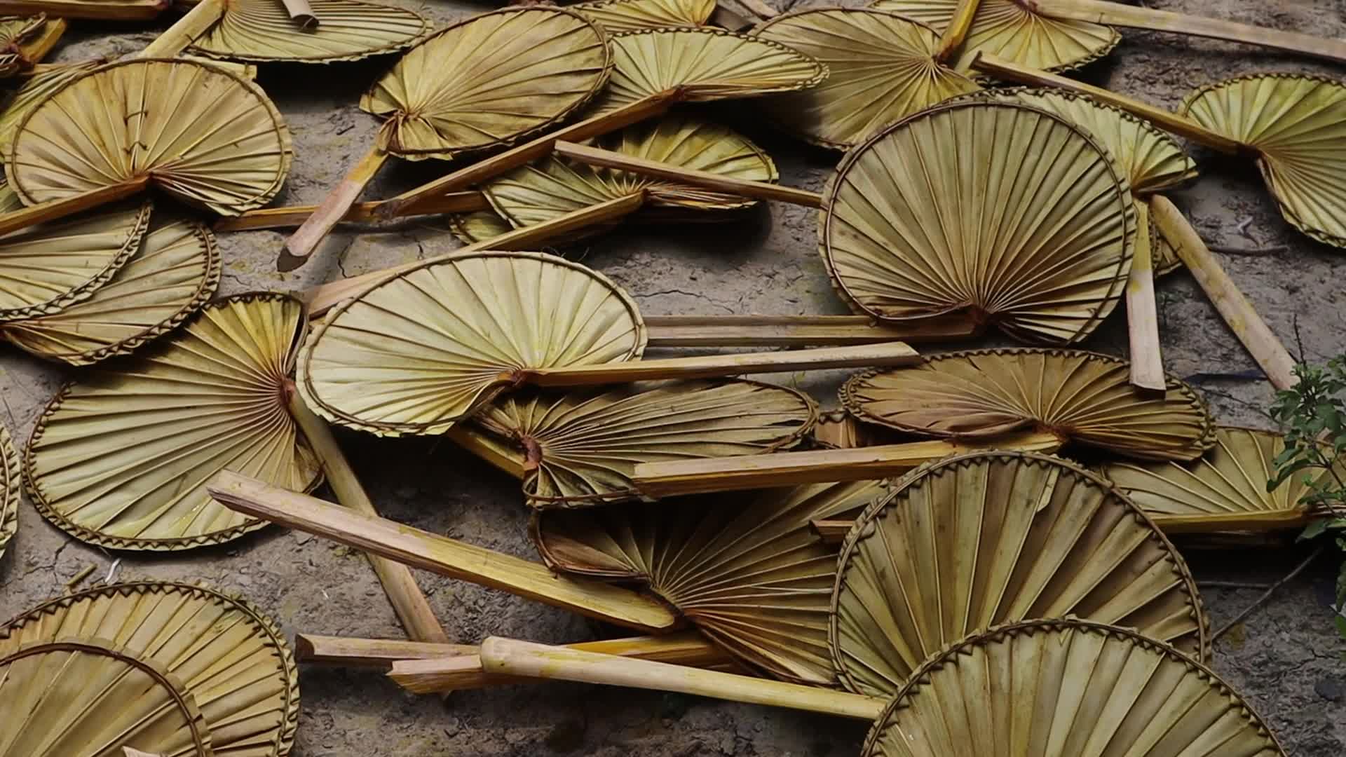 Traditional handmade palm leaf fan makers of West Bengal 