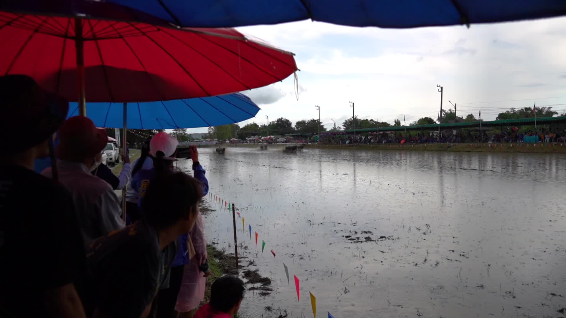 Water Buffalo Racing Festival 2022