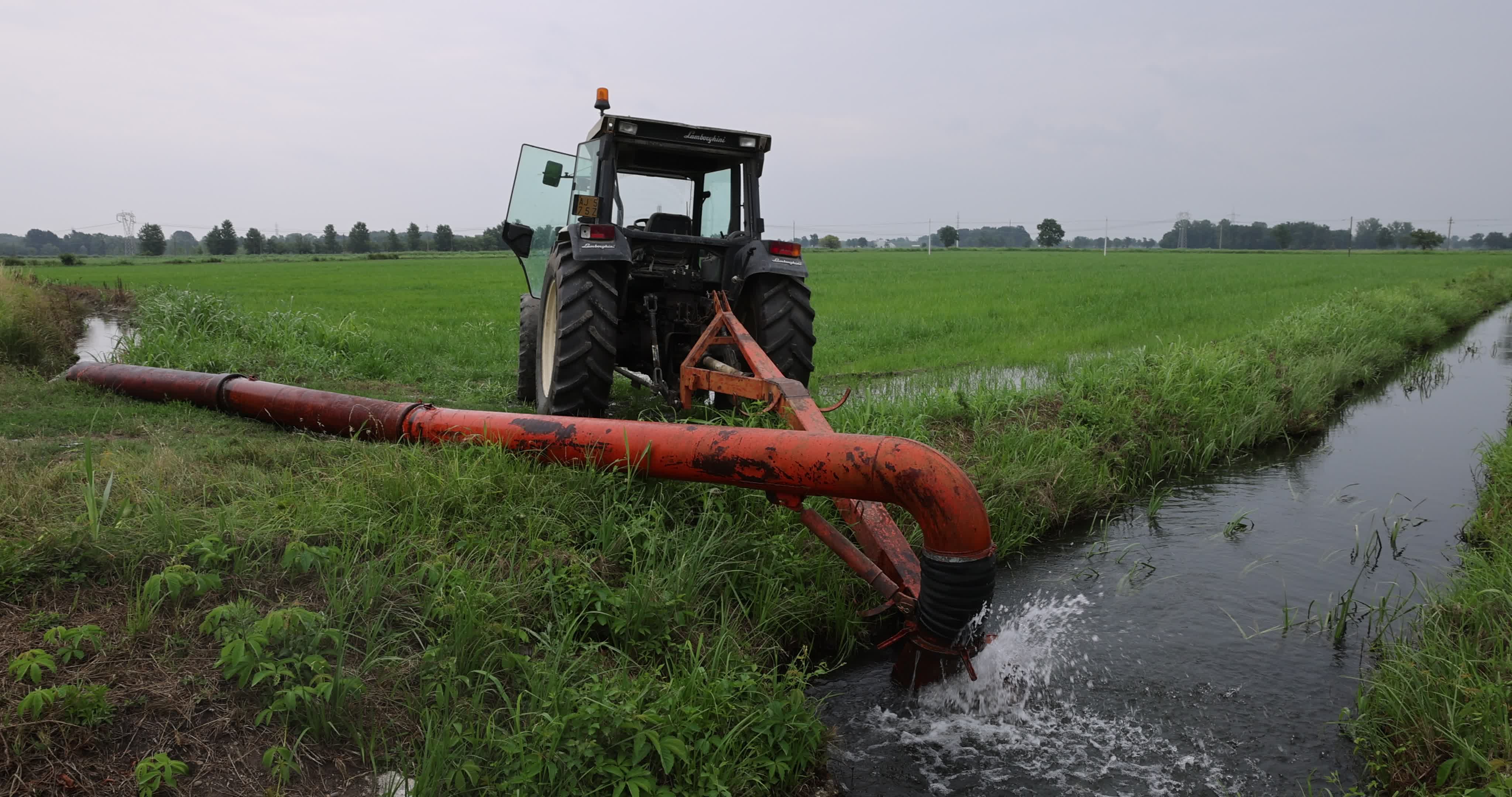 Drought In Northern Italy: paddy fields in Novara