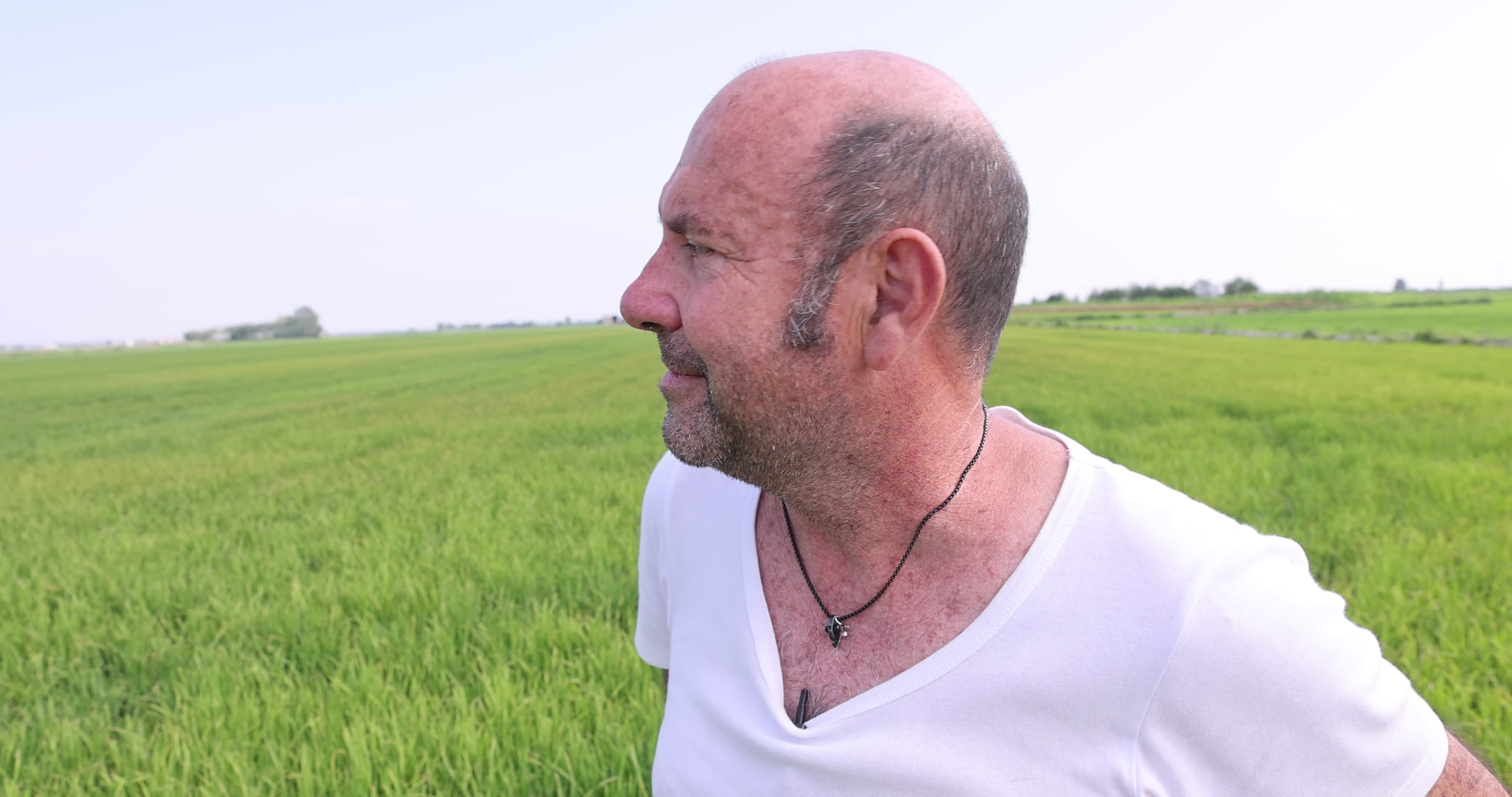Drought In Northern Italy: paddy fields in Novara