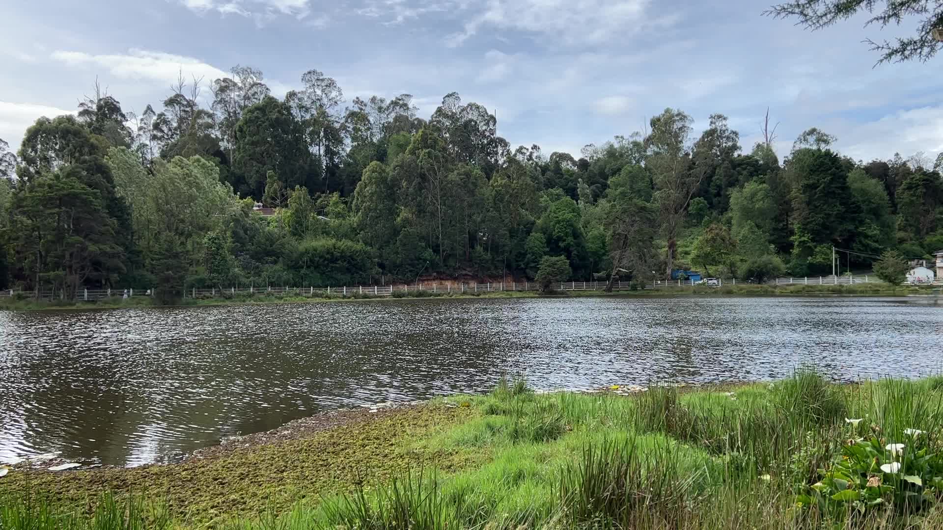 Daily life in Kodaikanal