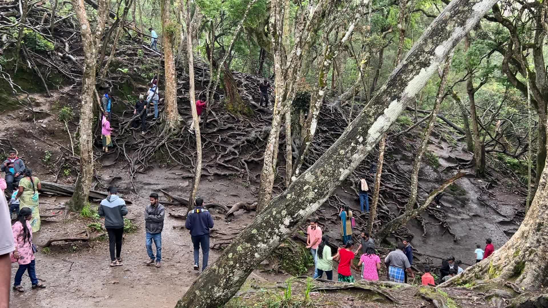Guna Caves 