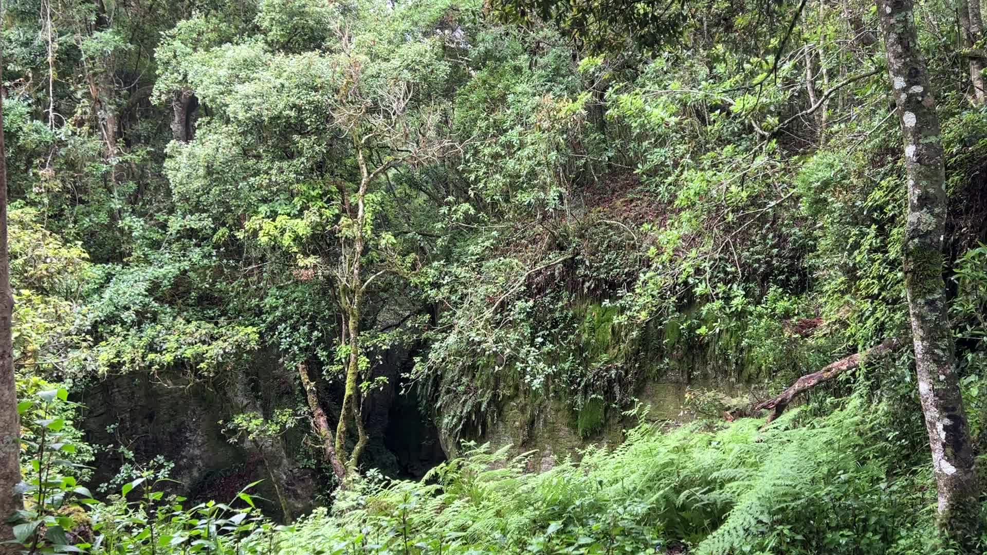 Guna Caves 