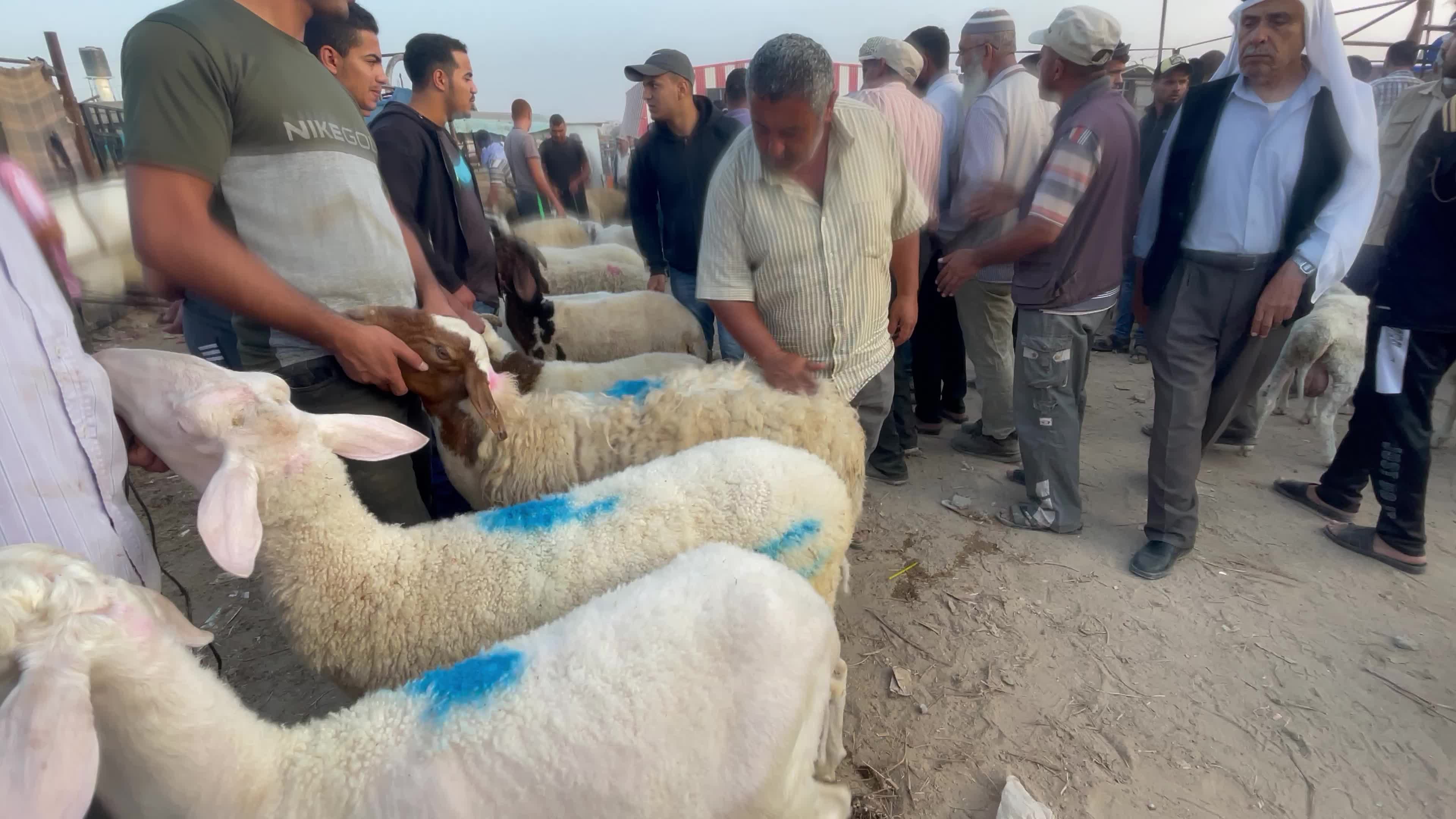  Eid al-Adha, in Deir al-Balah, in the center of the Gaza Strip,