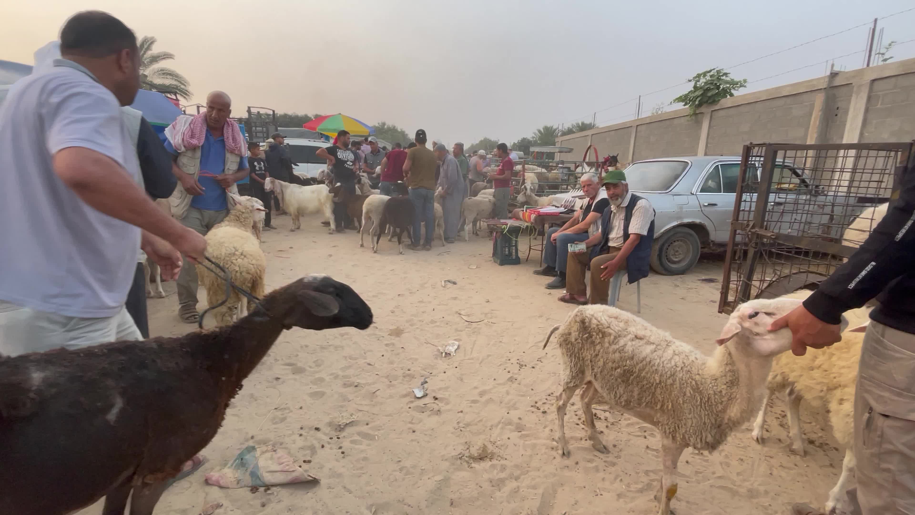  Eid al-Adha, in Deir al-Balah, in the center of the Gaza Strip,