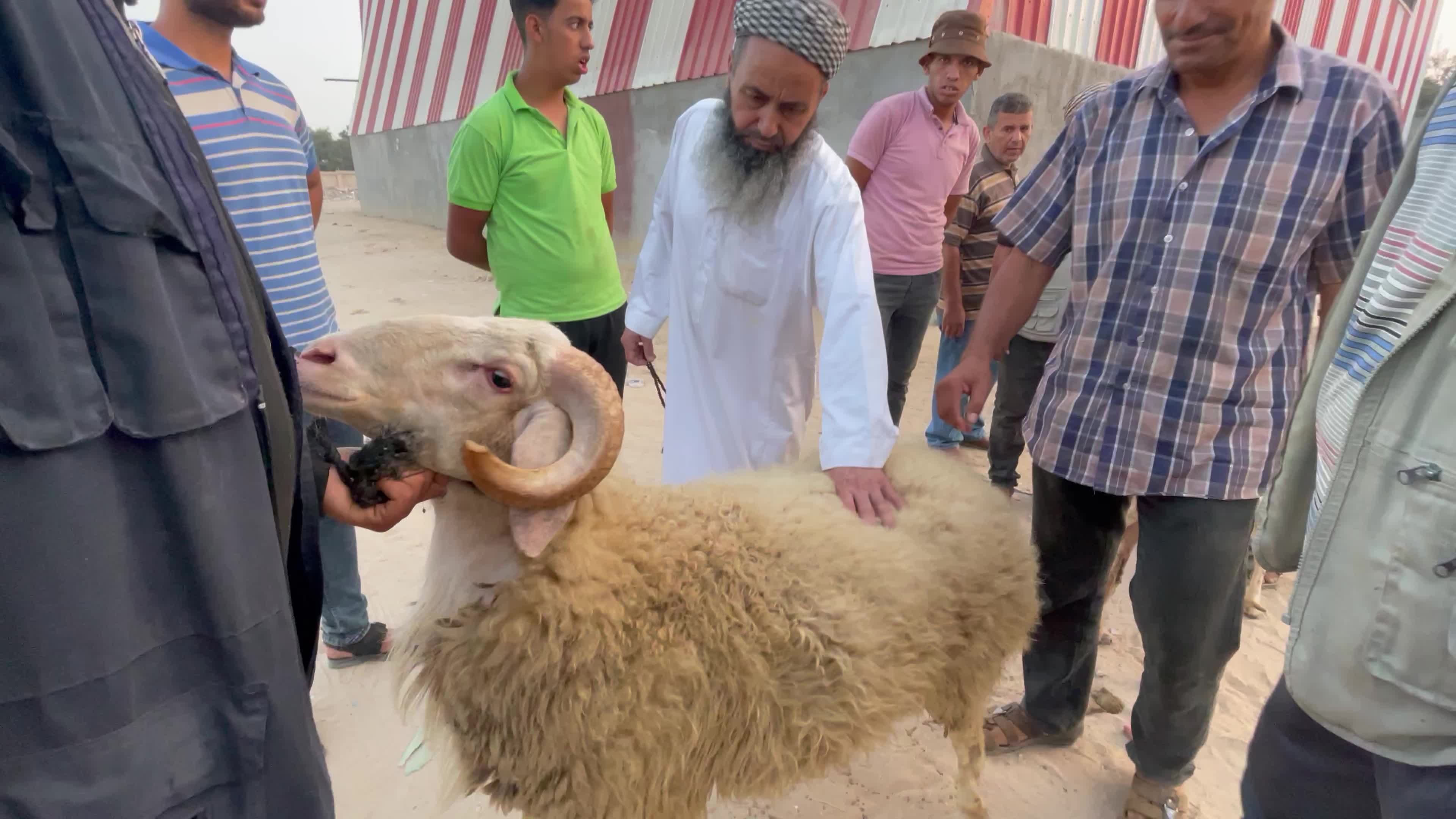  Eid al-Adha, in Deir al-Balah, in the center of the Gaza Strip,