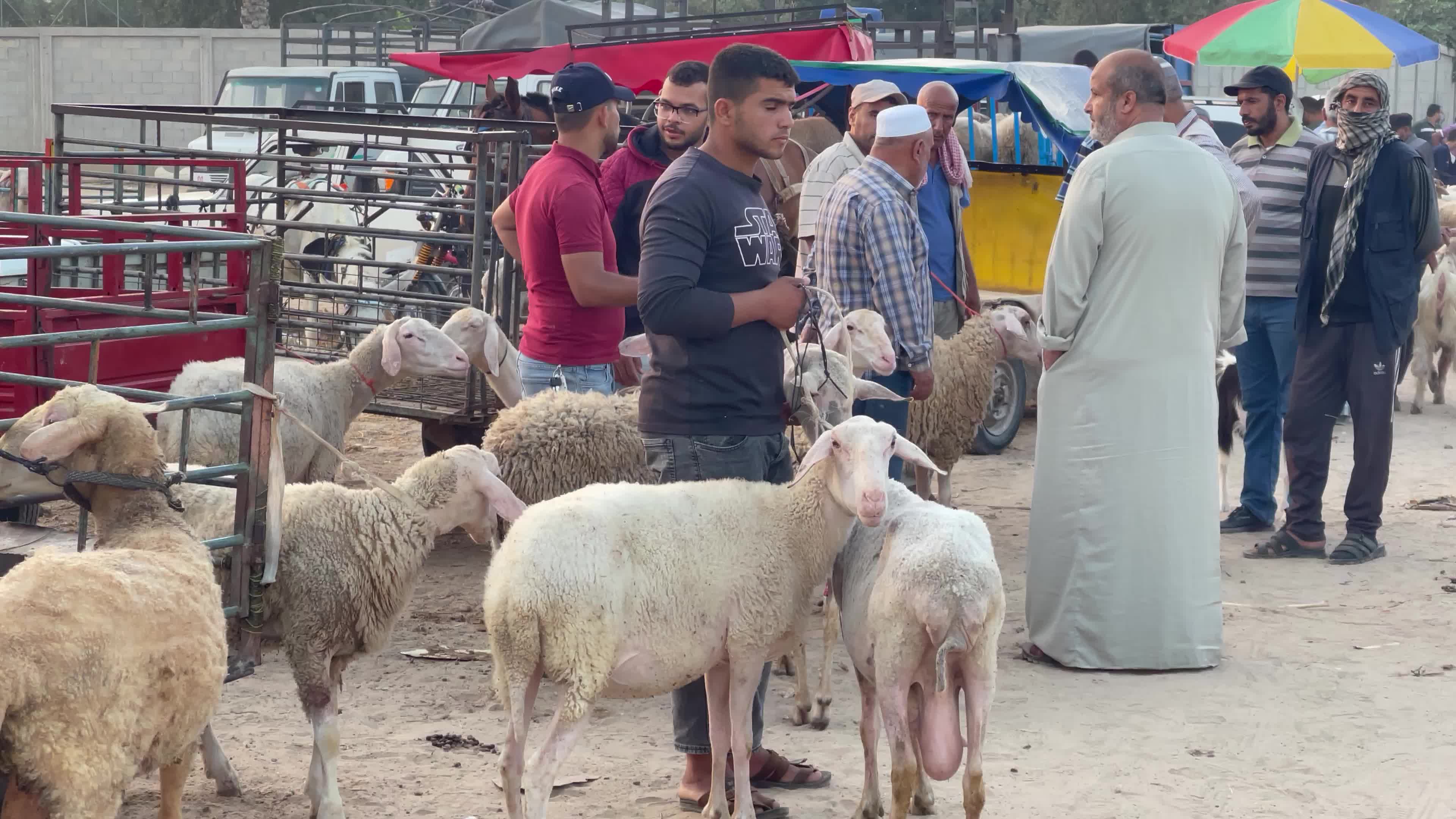  Eid al-Adha, in Deir al-Balah, in the center of the Gaza Strip,