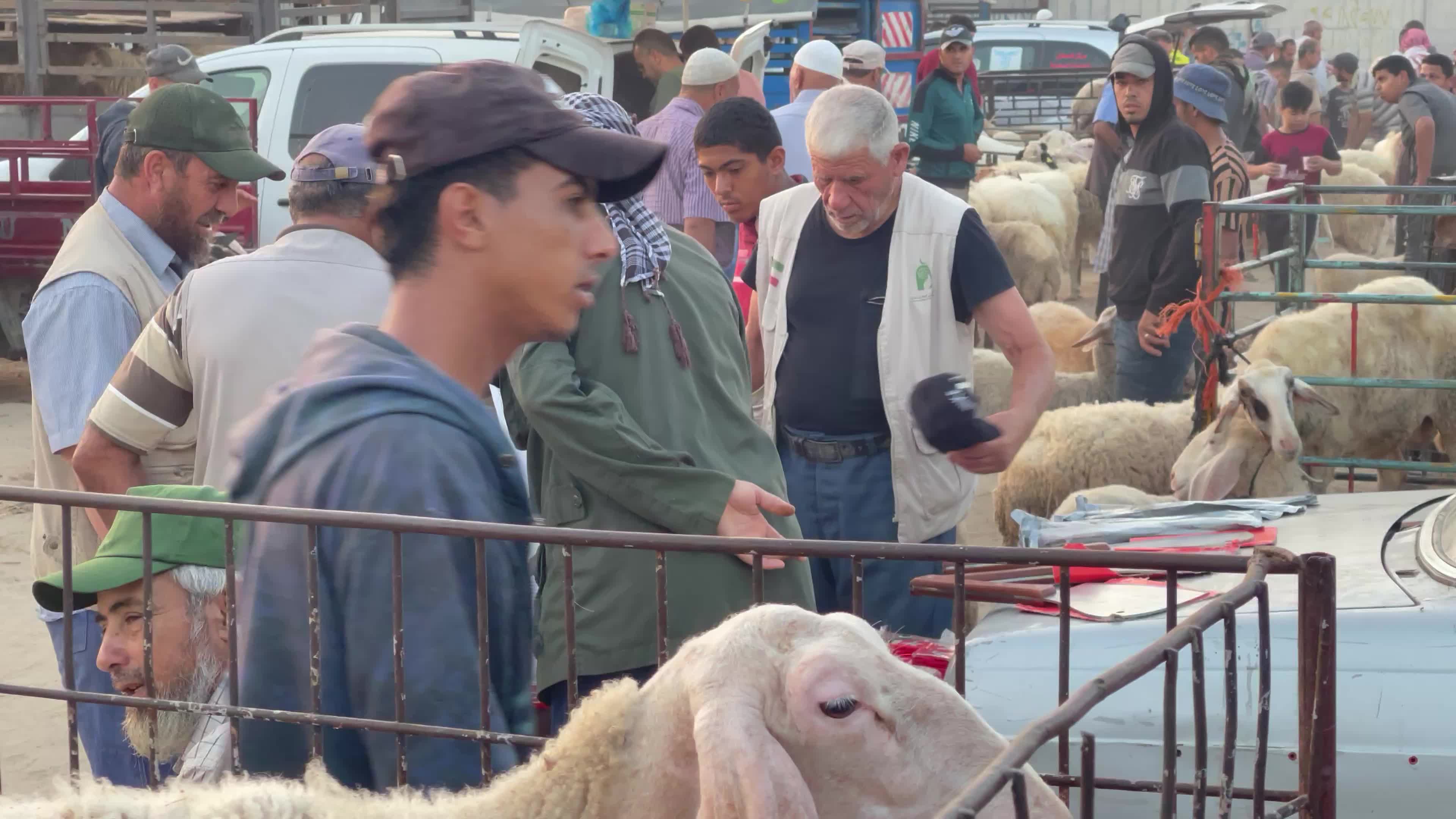  Eid al-Adha, in Deir al-Balah, in the center of the Gaza Strip,