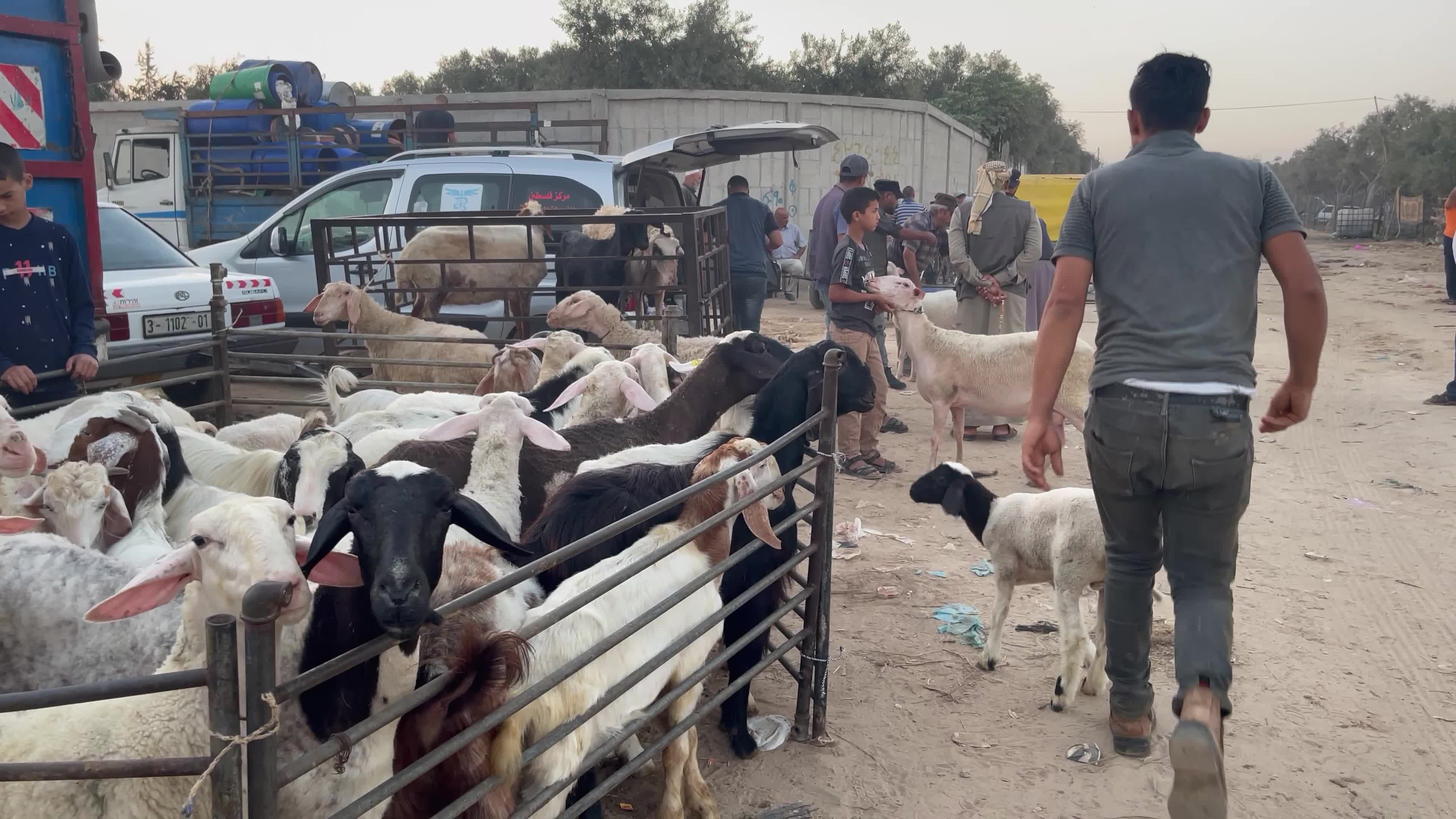  Eid al-Adha, in Deir al-Balah, in the center of the Gaza Strip,