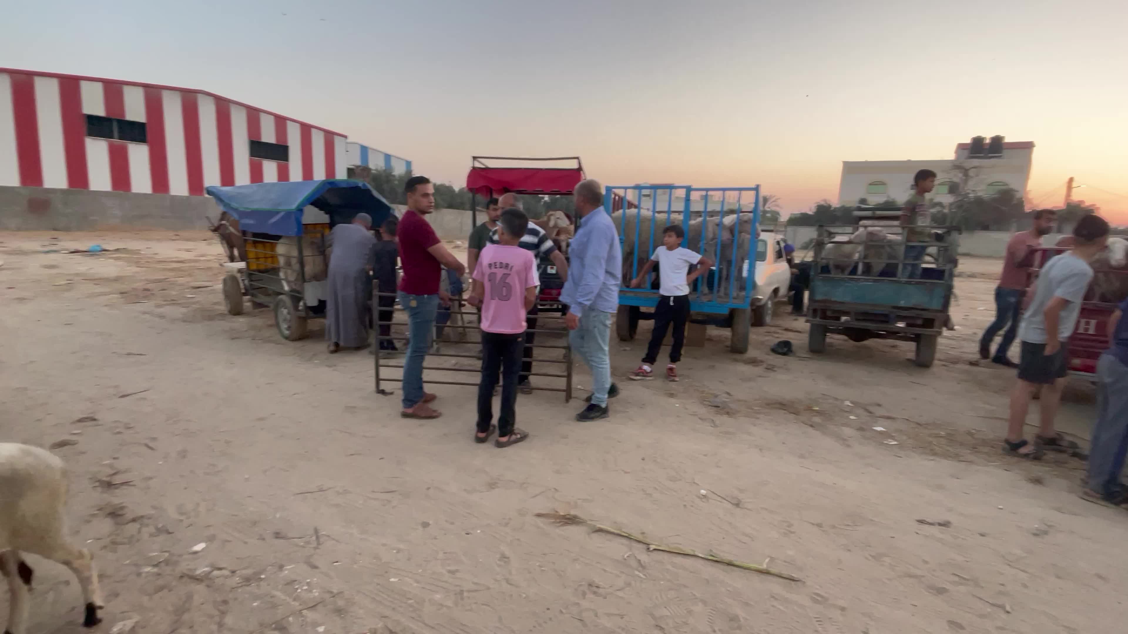  Eid al-Adha, in Deir al-Balah, in the center of the Gaza Strip,