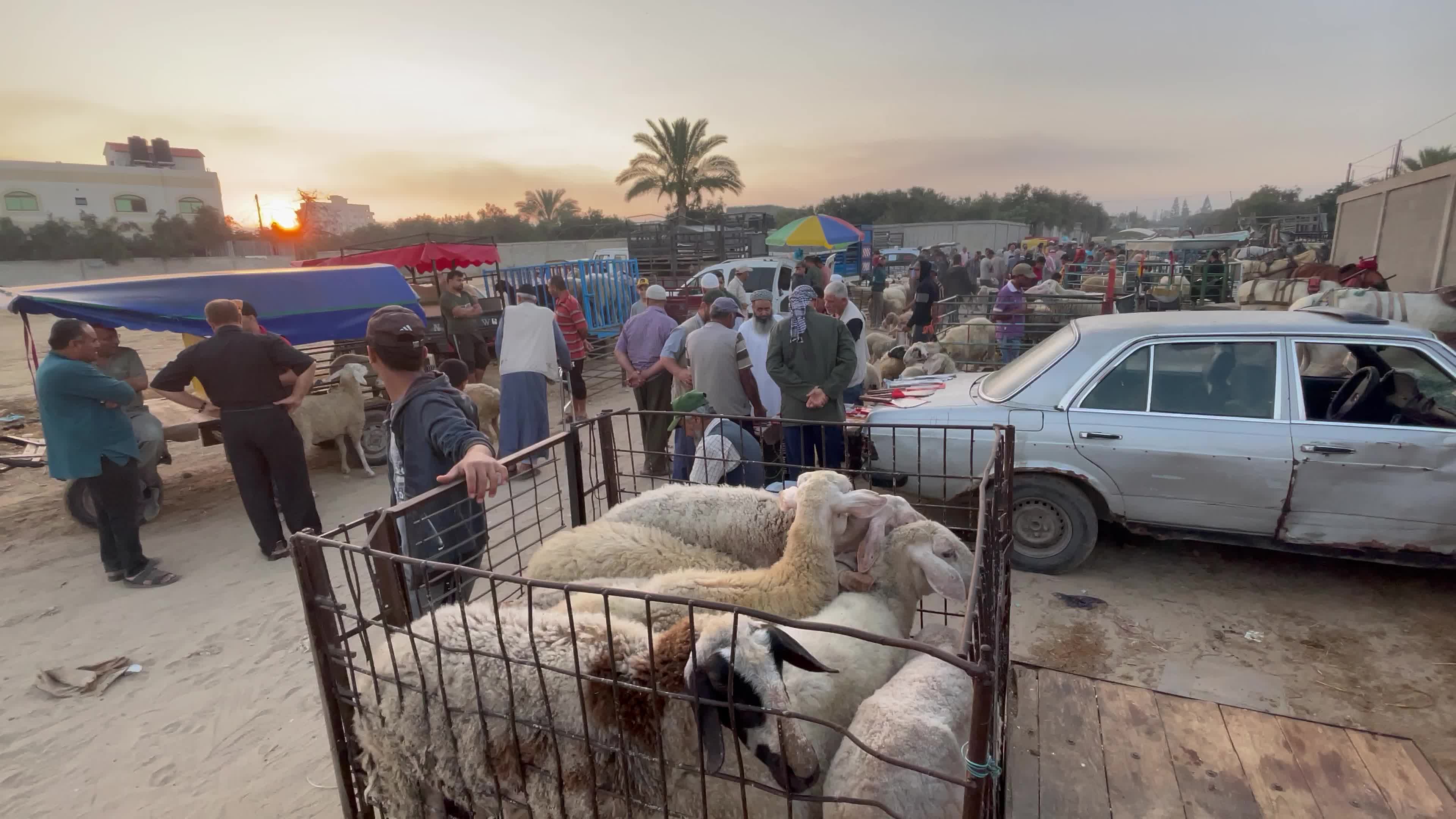  Eid al-Adha, in Deir al-Balah, in the center of the Gaza Strip,