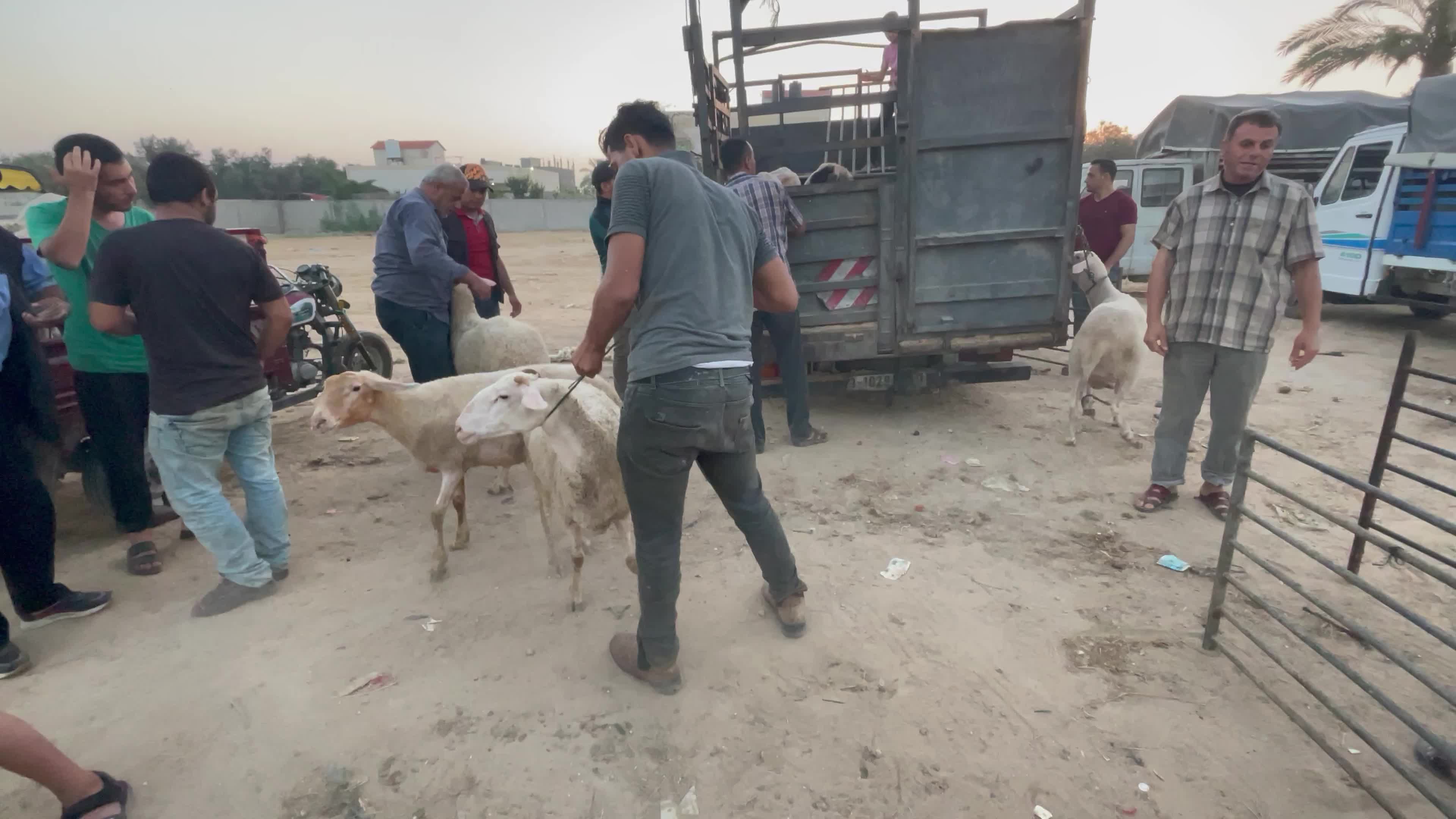  Eid al-Adha, in Deir al-Balah, in the center of the Gaza Strip,