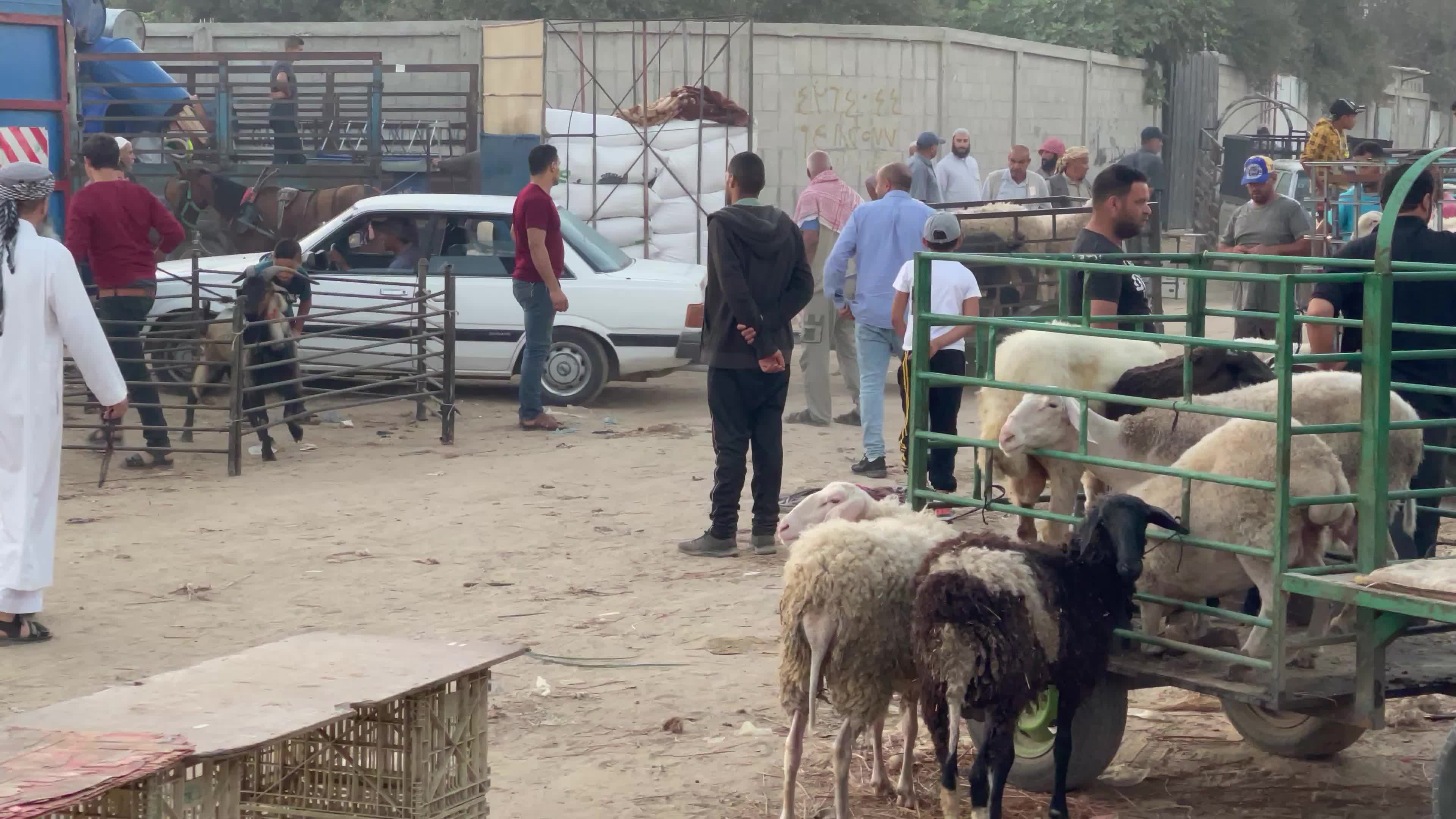  Eid al-Adha, in Deir al-Balah, in the center of the Gaza Strip,