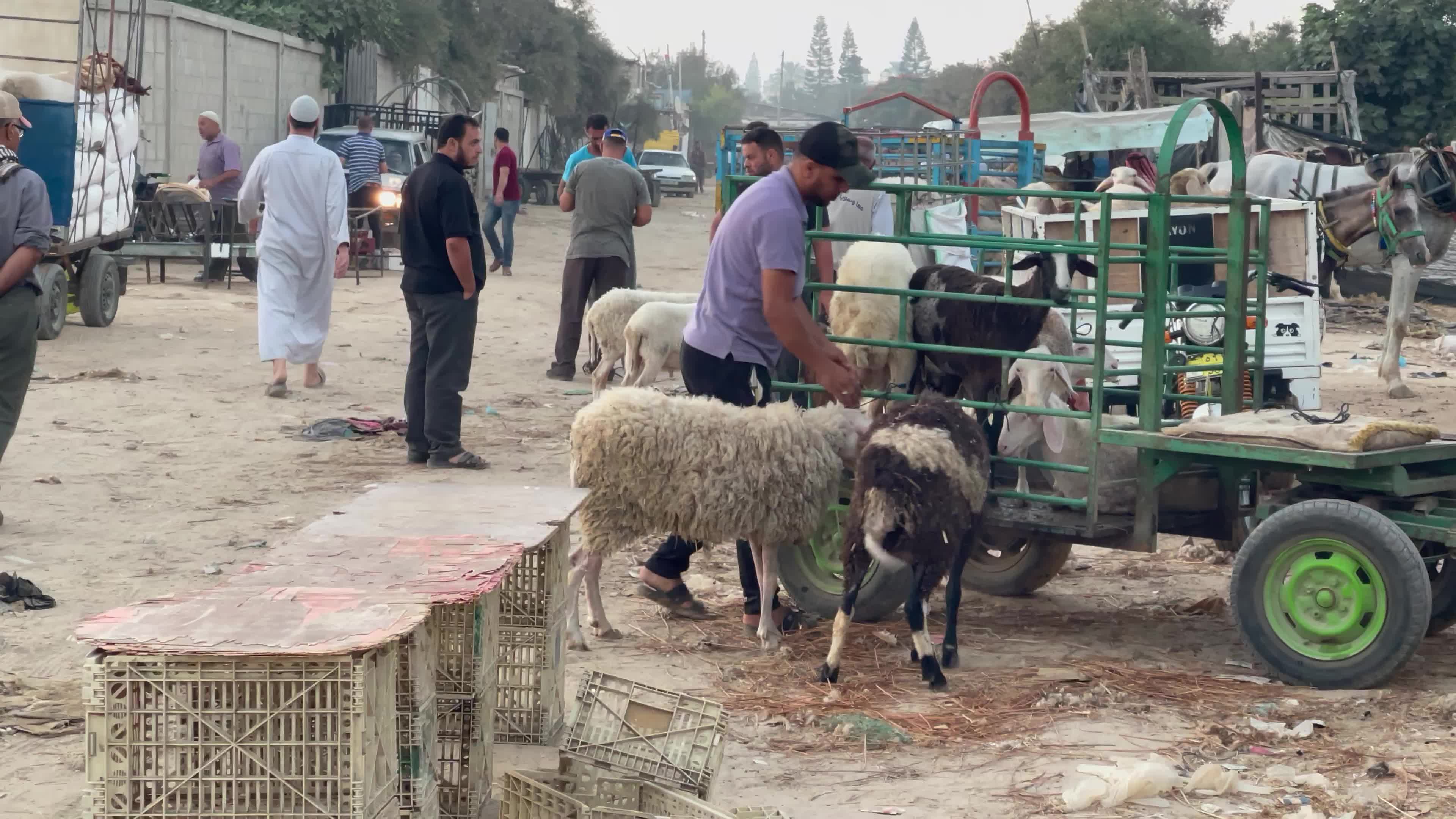  Eid al-Adha, in Deir al-Balah, in the center of the Gaza Strip,