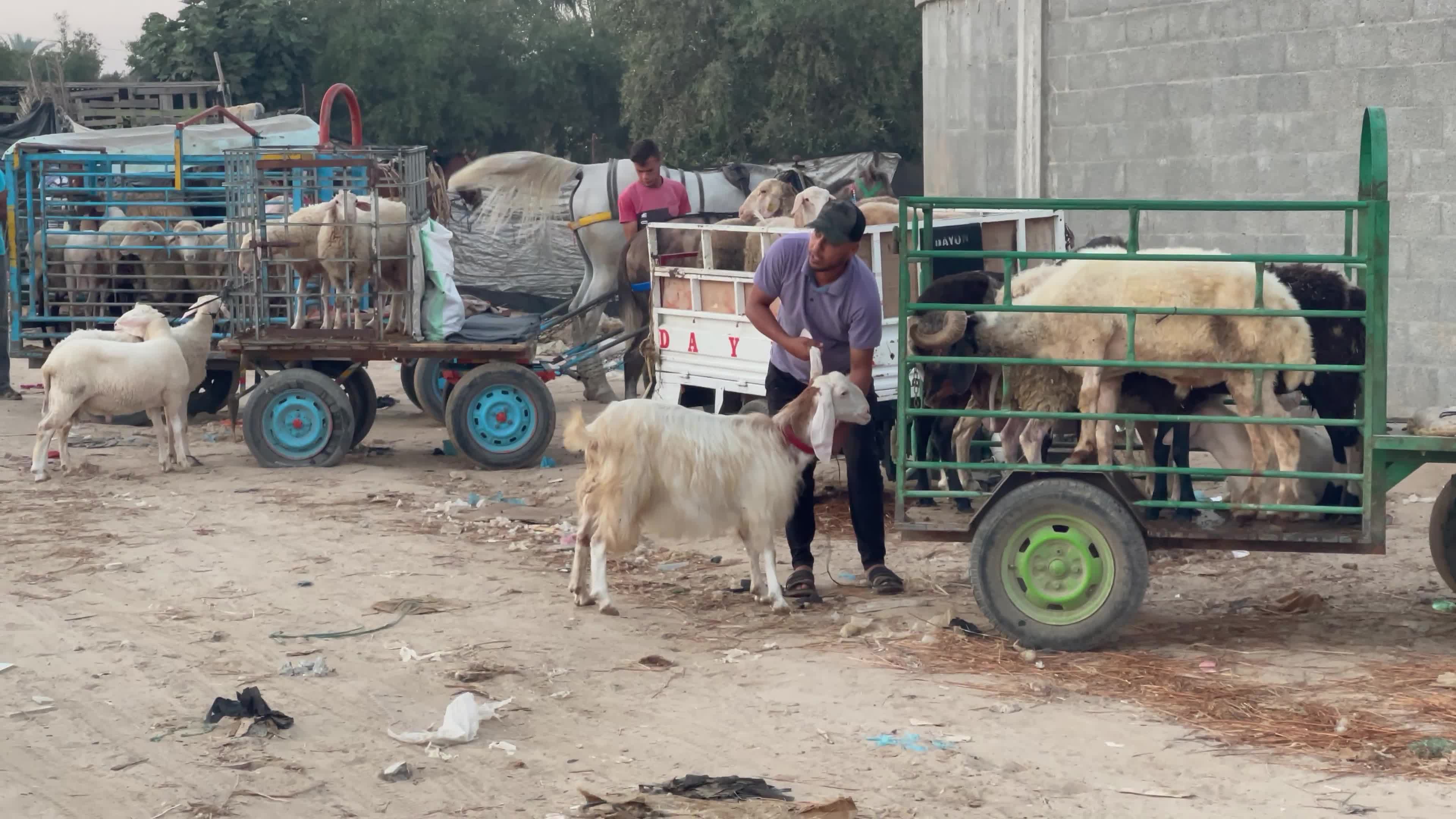  Eid al-Adha, in Deir al-Balah, in the center of the Gaza Strip,