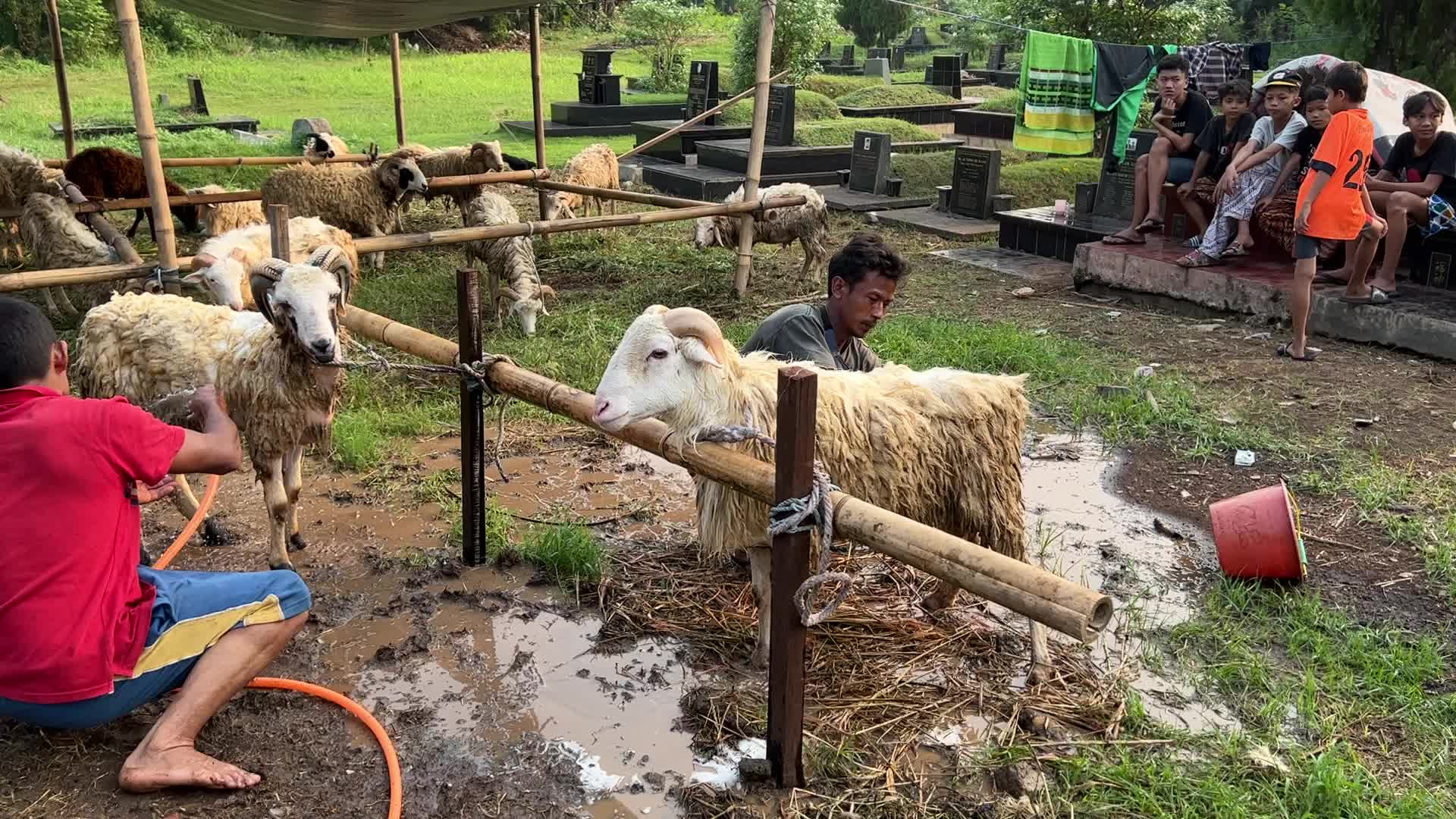 Eid al-Adha In Indonesia