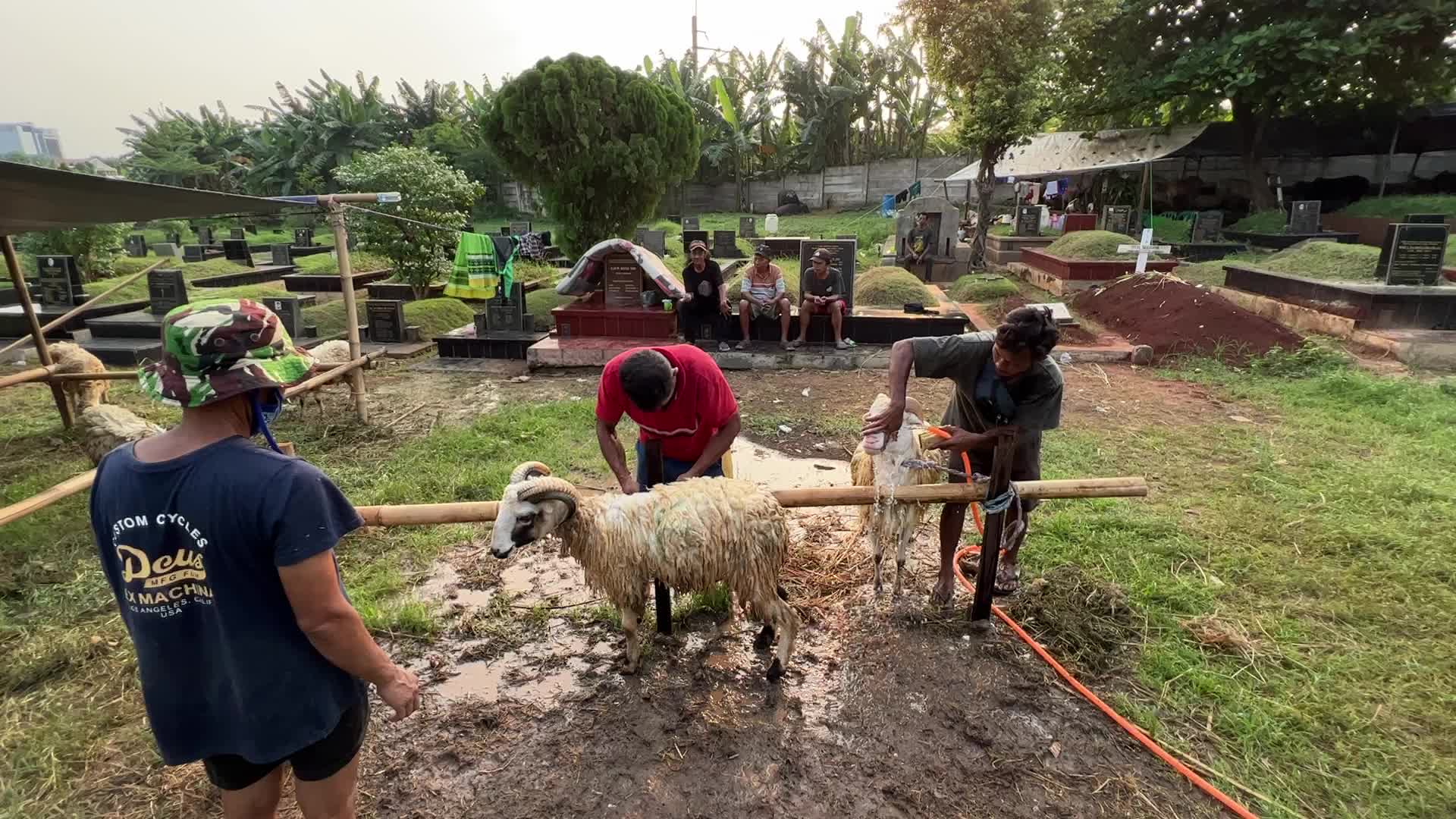 Eid al-Adha In Indonesia