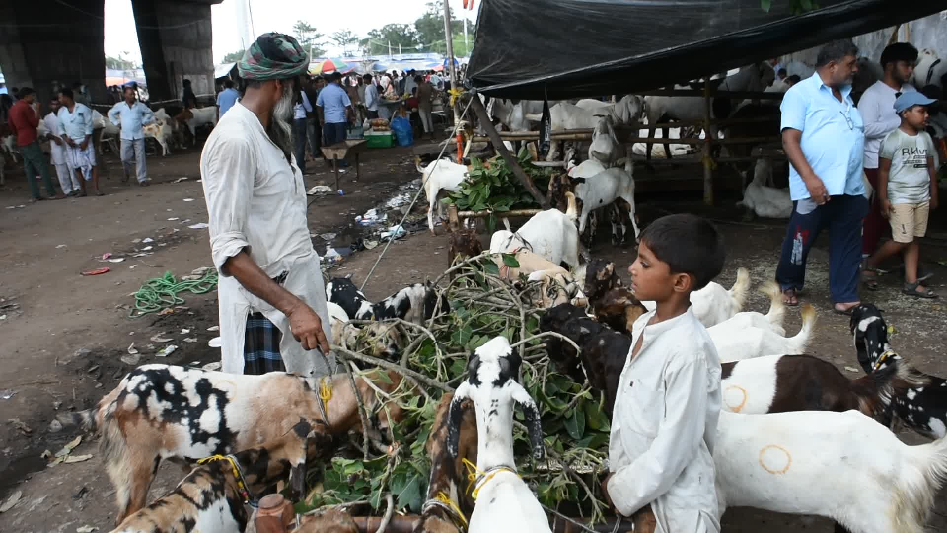 Livestock market ahead of Eid-Ul-Adha celebration in Kolkata.