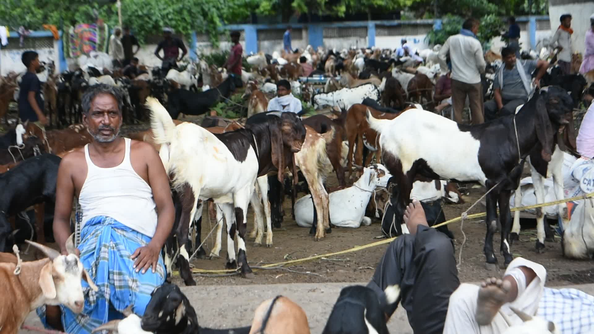 Livestock market ahead of Eid-Ul-Adha celebration in Kolkata.