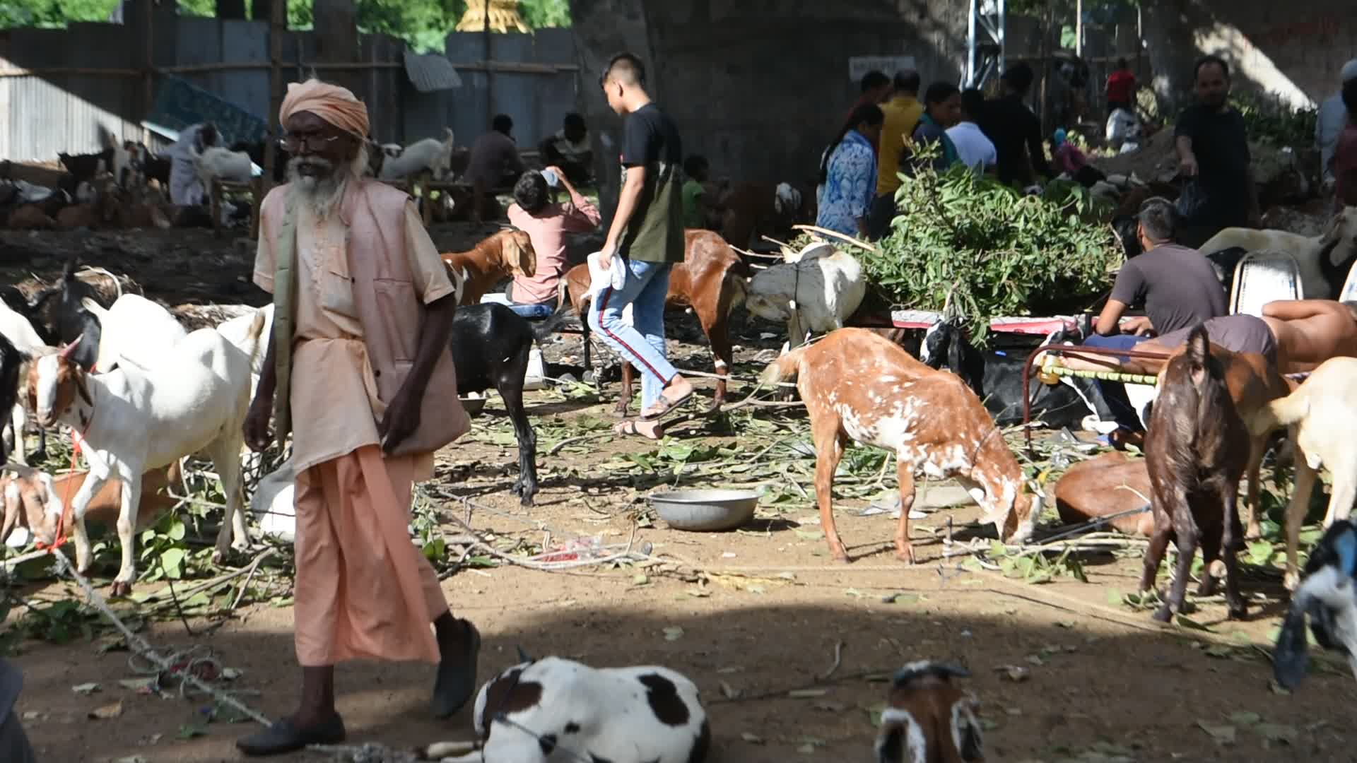 Livestock market ahead of Eid-Ul-Adha celebration in Kolkata.