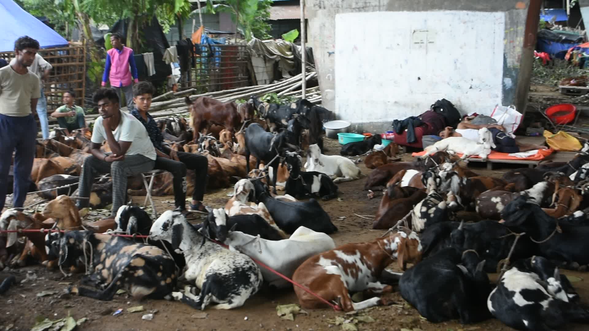Livestock market ahead of Eid-Ul-Adha celebration in Kolkata.