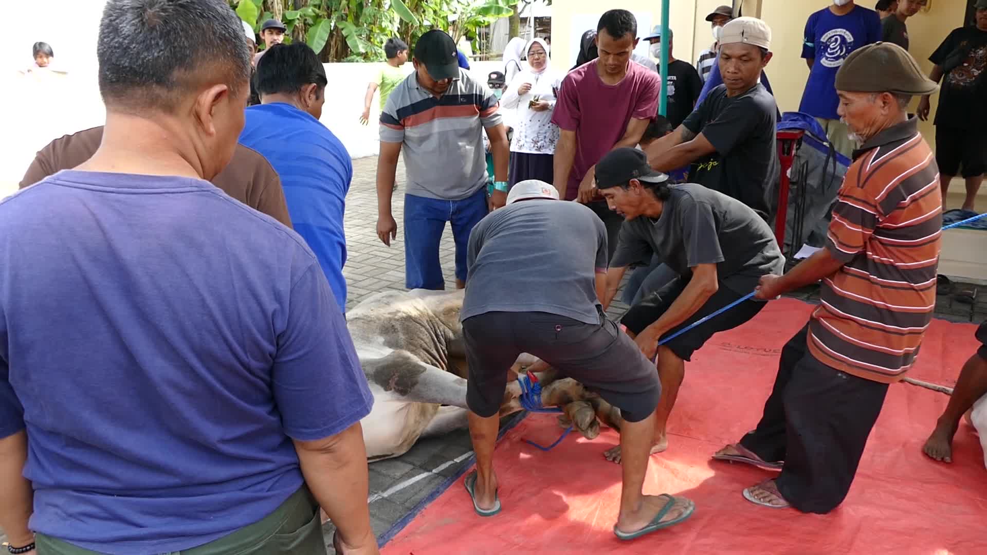 Indonesian Muslims Celebrate Eid al-Adha