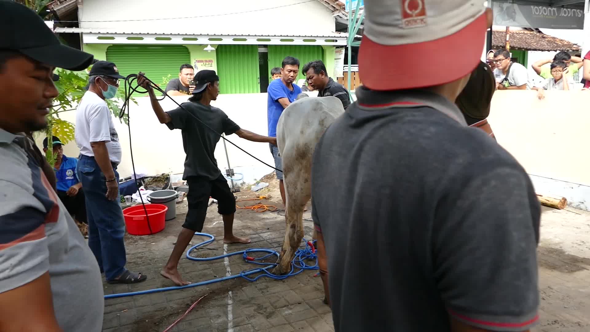 Indonesian Muslims Celebrate Eid al-Adha