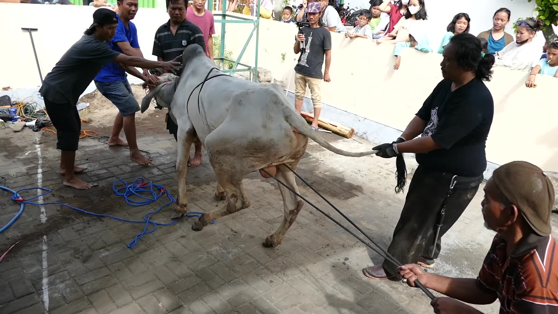 Indonesian Muslims Celebrate Eid al-Adha