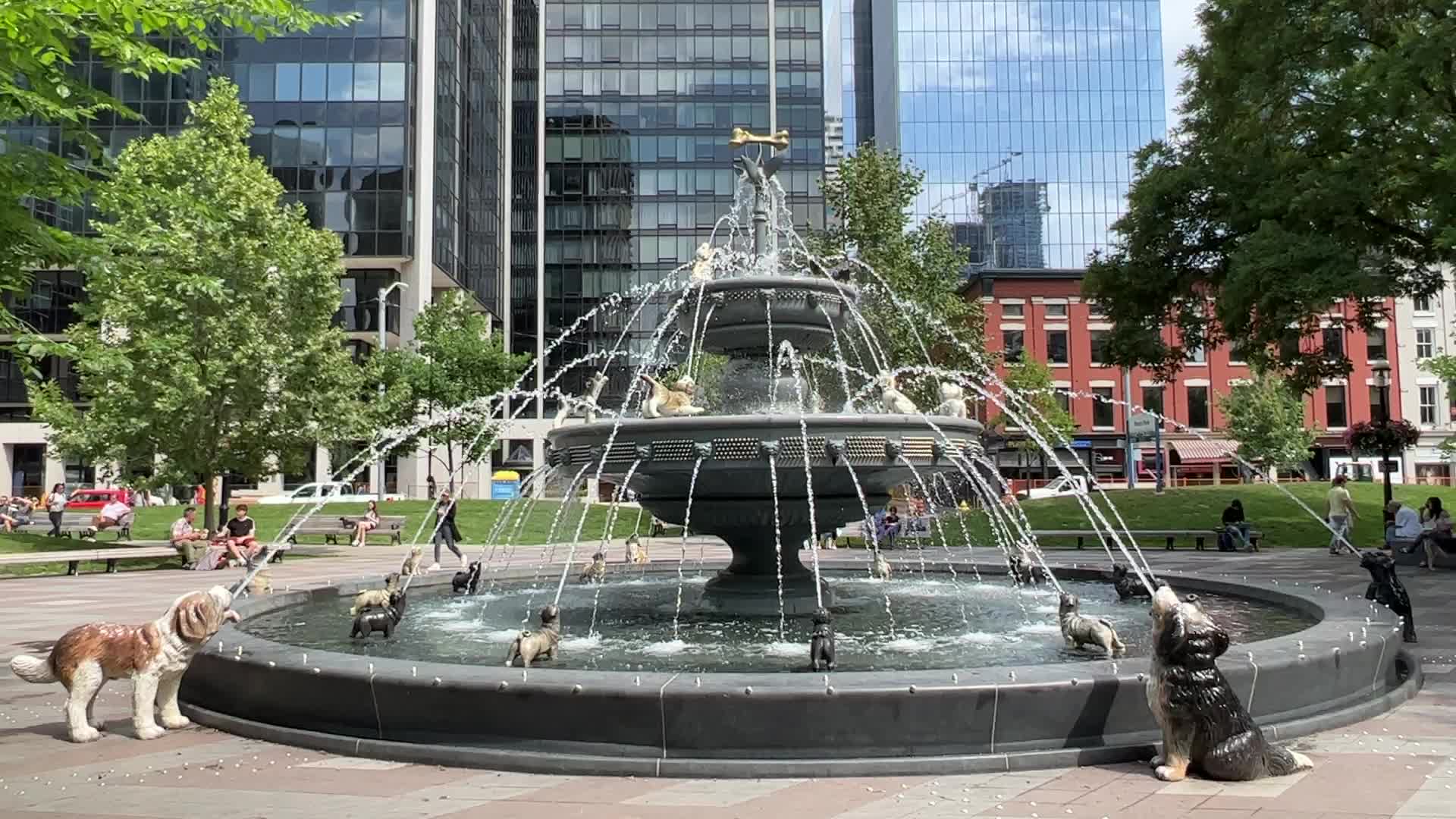 Dog fountain at Berczy Park in Toronto
