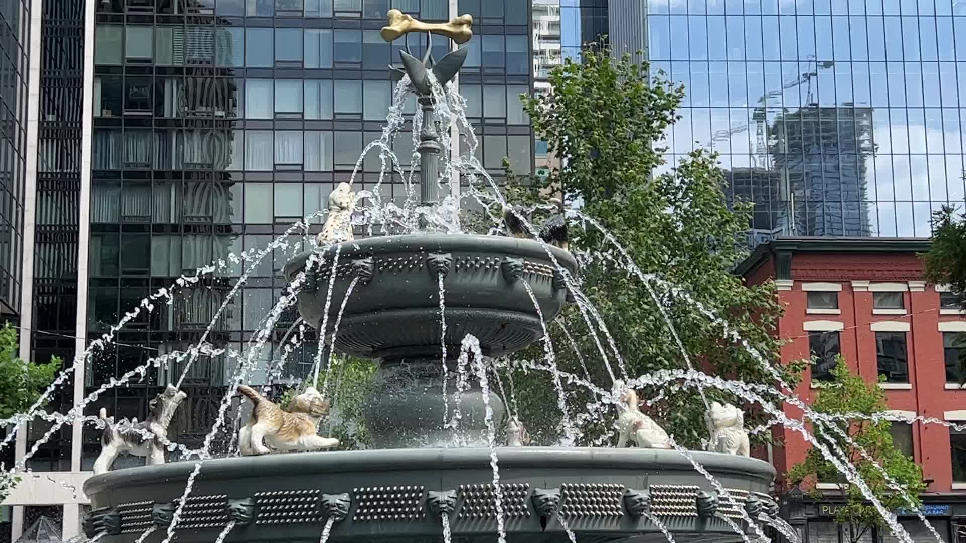 Dog fountain at Berczy Park in Toronto