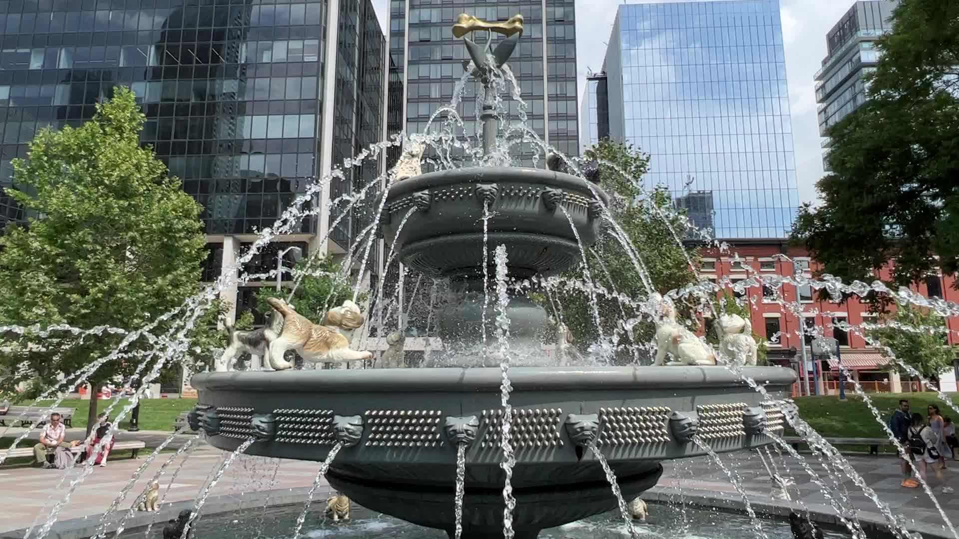 Dog fountain at Berczy Park in Toronto